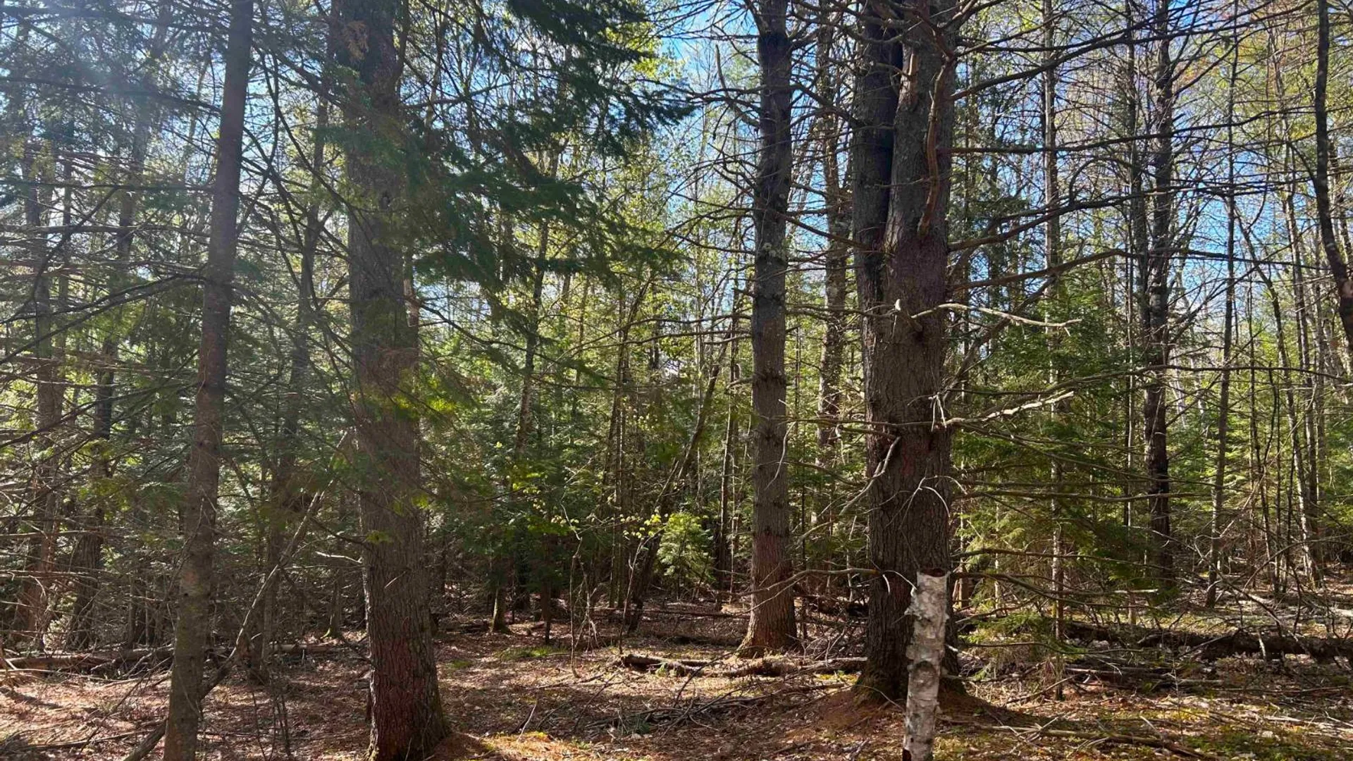 Property at 0 Hardscrabble Rd, North Creek, NY 12853 12