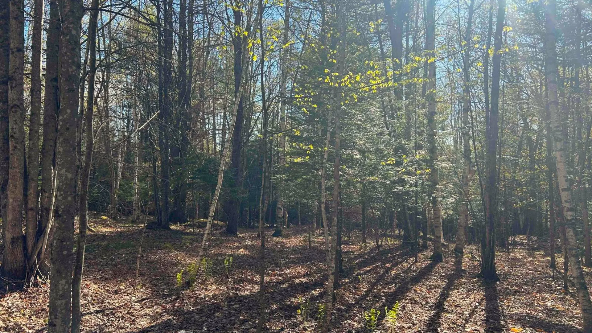 Property at 0 Hardscrabble Rd, North Creek, NY 12853 14