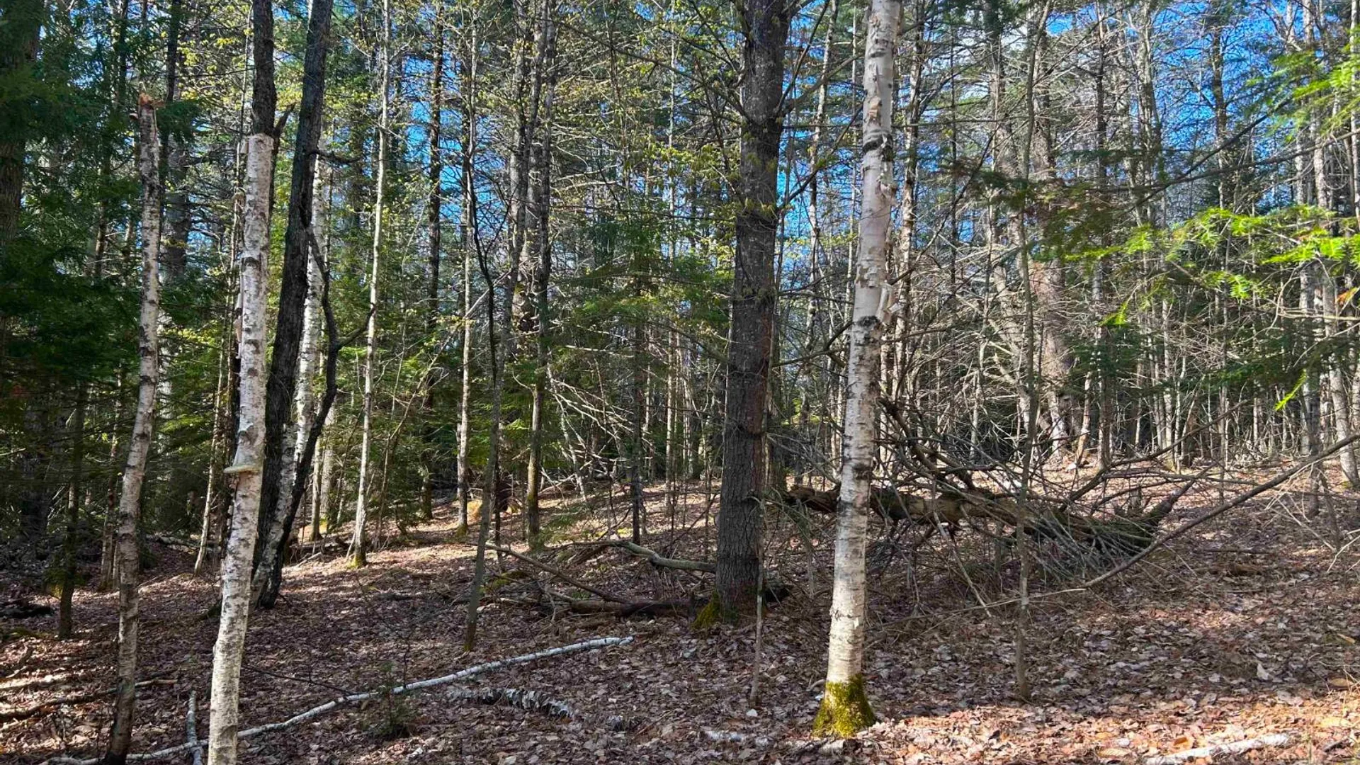 Property at 0 Hardscrabble Rd, North Creek, NY 12853 15