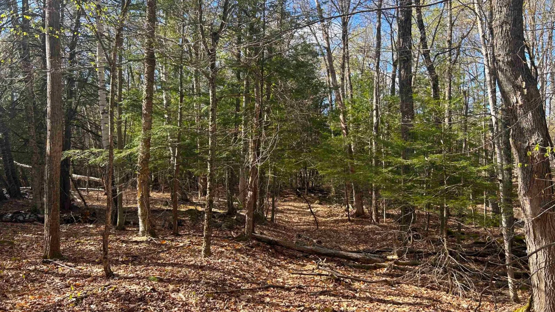 Property at 0 Hardscrabble Rd, North Creek, NY 12853 18