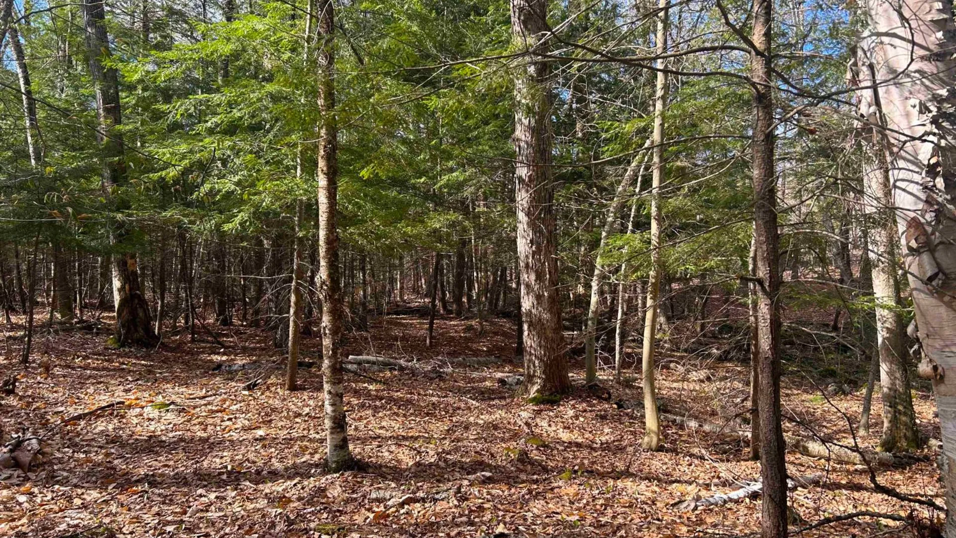Property at 0 Hardscrabble Rd, North Creek, NY 12853 19