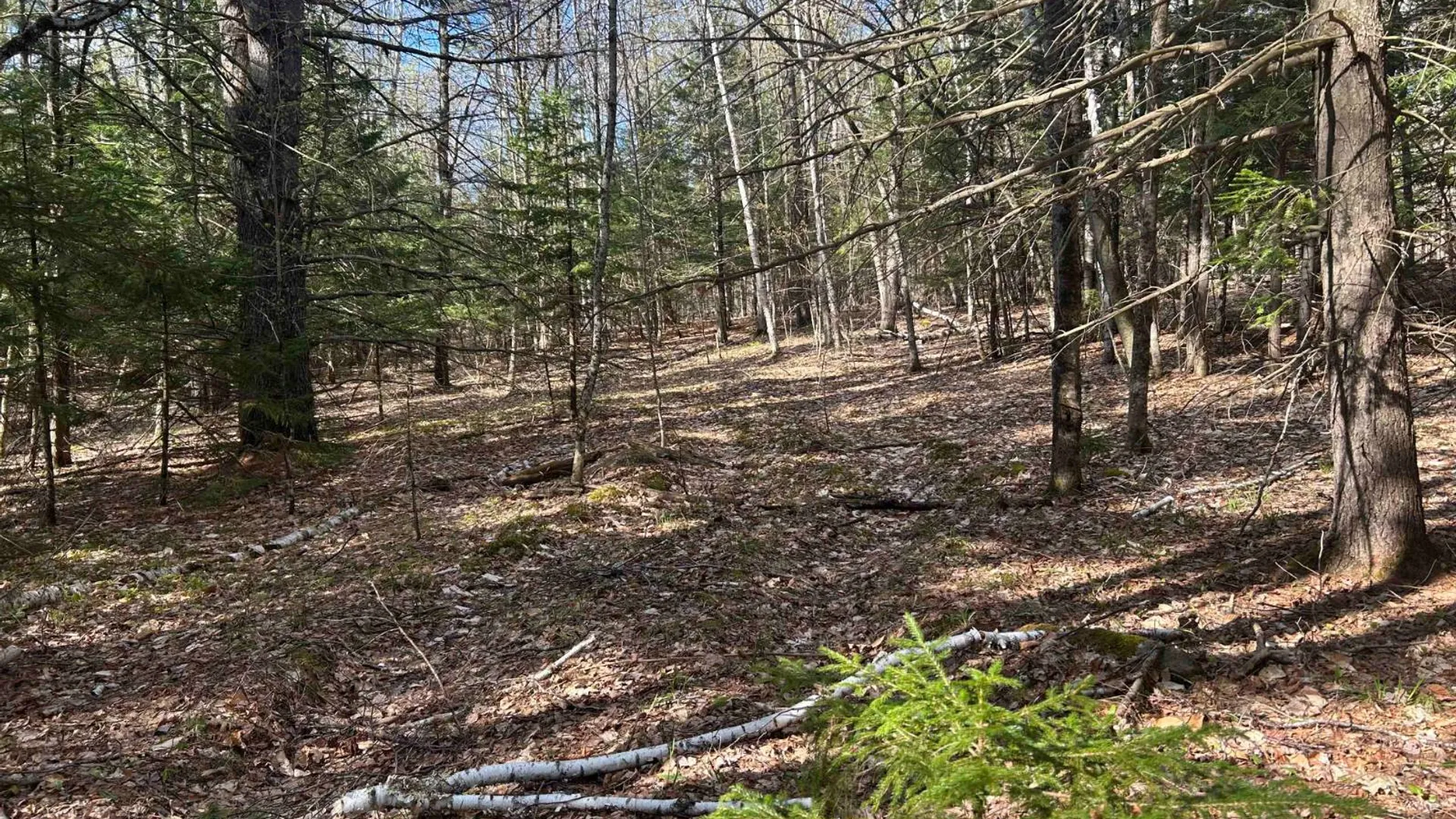 Property at 0 Hardscrabble Rd, North Creek, NY 12853 20