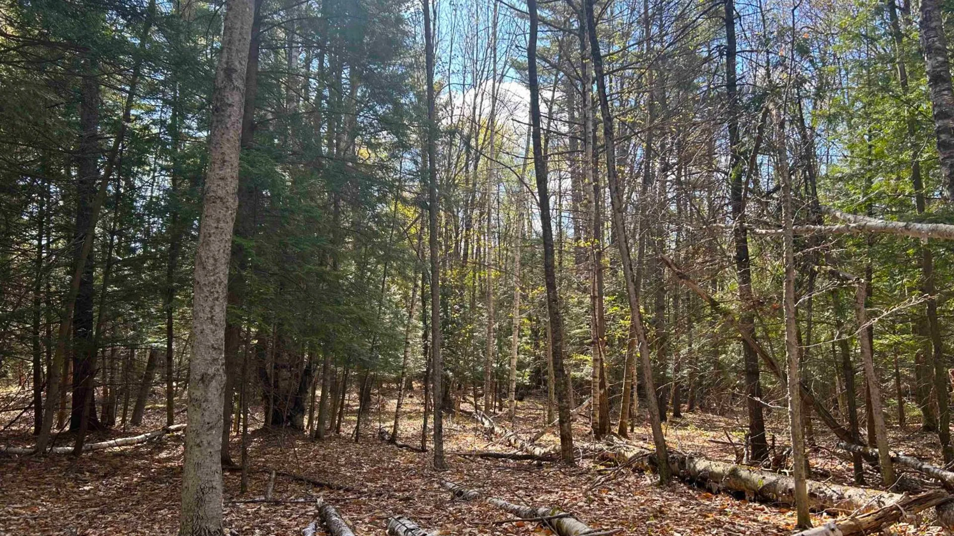 Property at 0 Hardscrabble Rd, North Creek, NY 12853 21