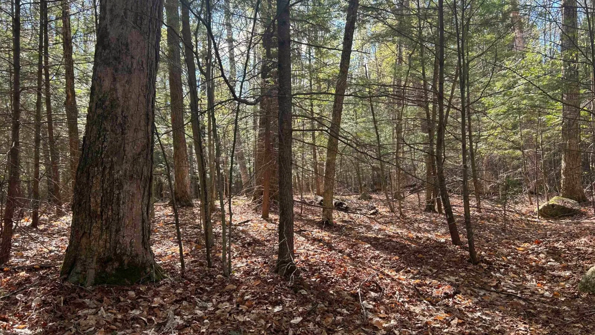 Property at 0 Hardscrabble Rd, North Creek, NY 12853 23