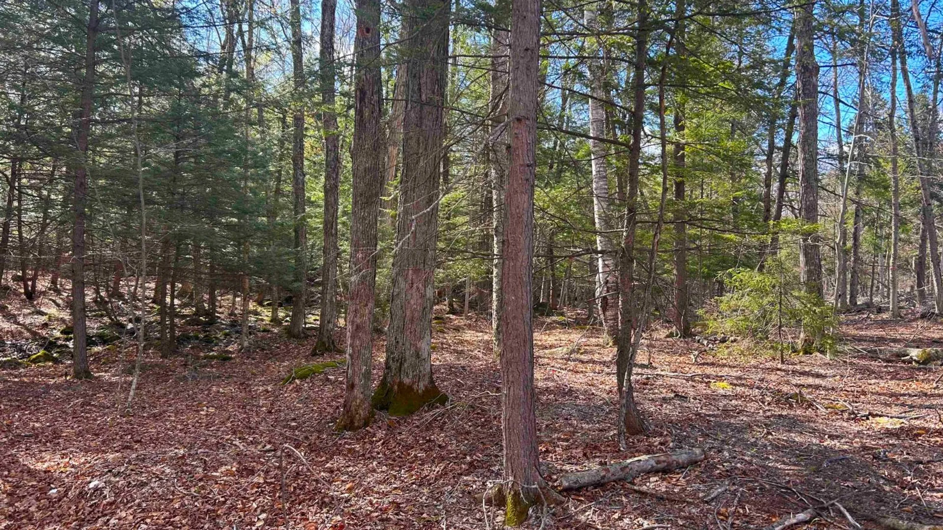 Property at 0 Hardscrabble Rd, North Creek, NY 12853 24