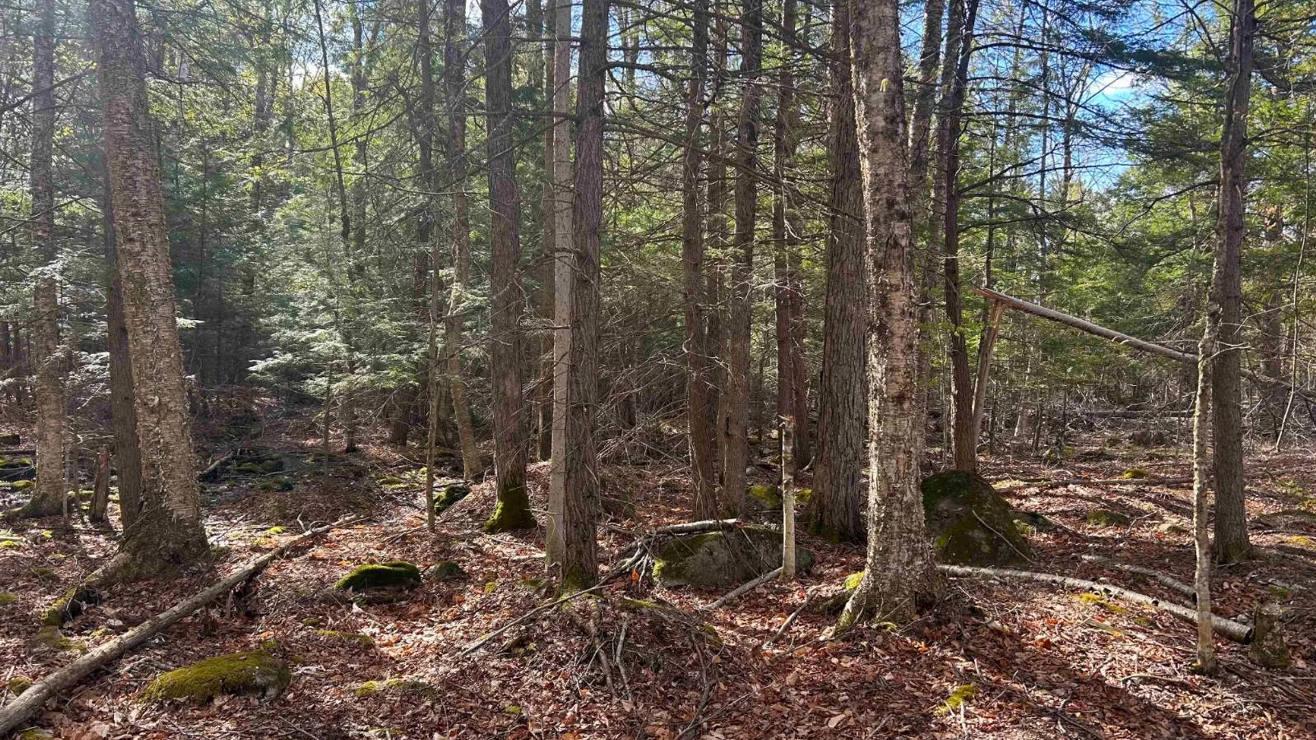 Property at 0 Hardscrabble Rd, North Creek, NY 12853 26
