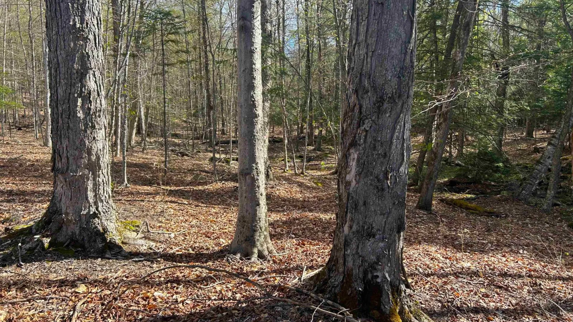 Property at 0 Hardscrabble Rd, North Creek, NY 12853 27