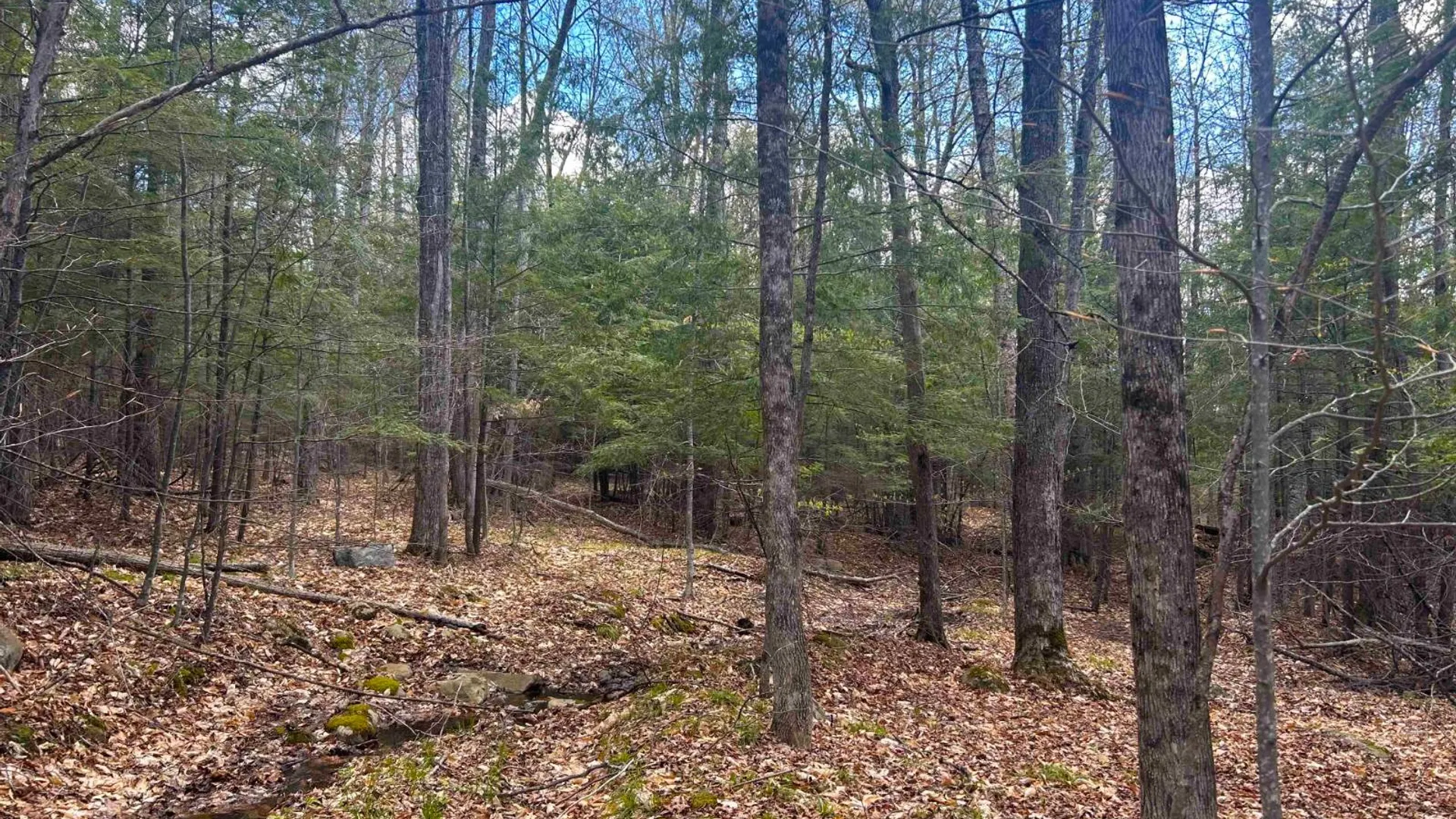 Property at 0 Hardscrabble Rd, North Creek, NY 12853 29