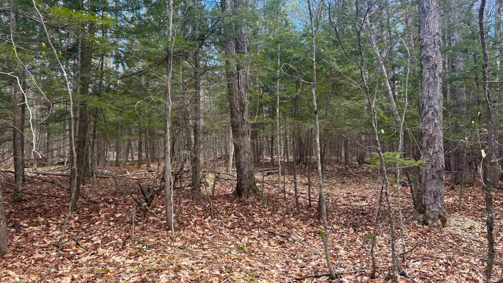 Property at 0 Hardscrabble Rd, North Creek, NY 12853 30