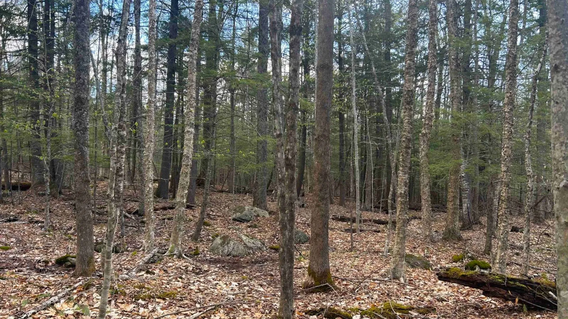 Property at 0 Hardscrabble Rd, North Creek, NY 12853 31