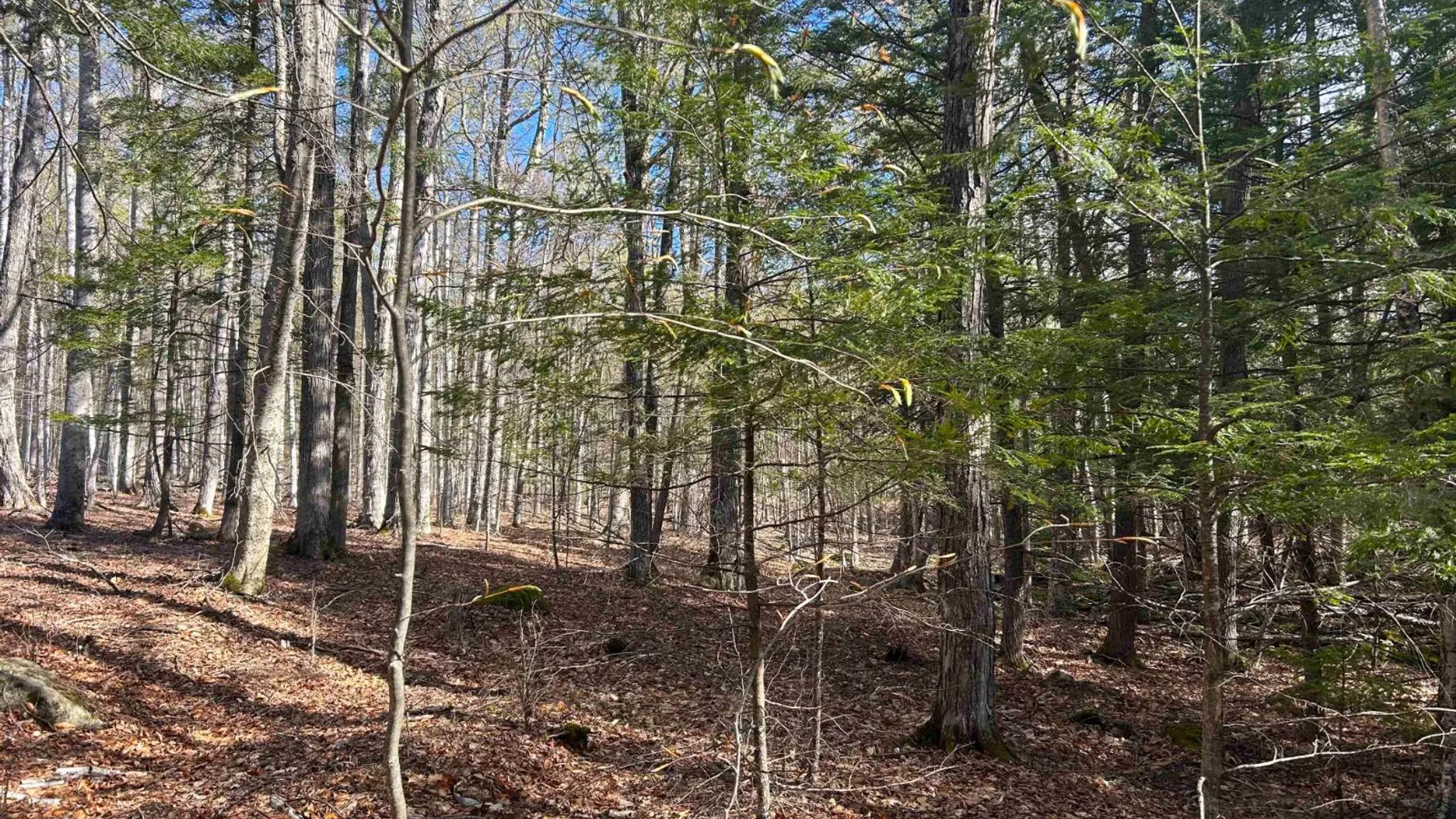 Property at 0 Hardscrabble Rd, North Creek, NY 12853 32