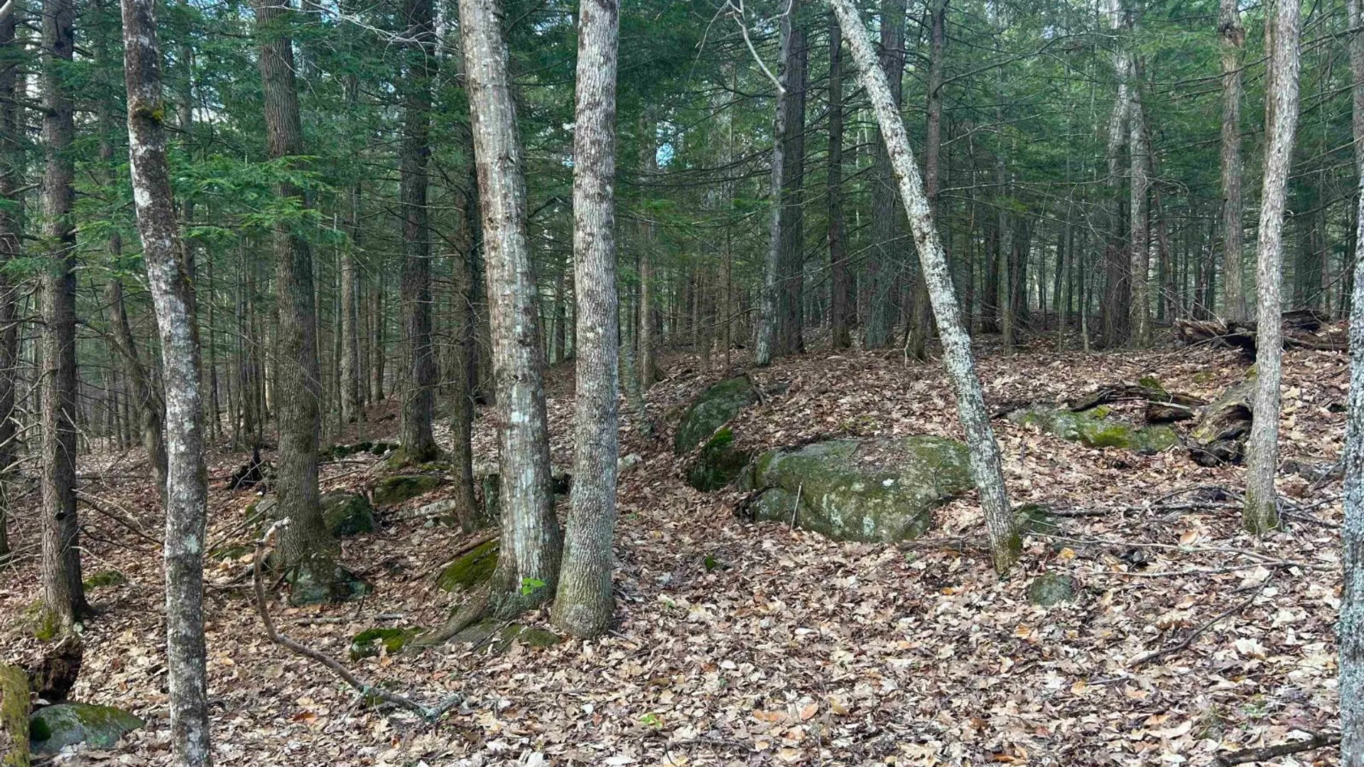 Property at 0 Hardscrabble Rd, North Creek, NY 12853 34