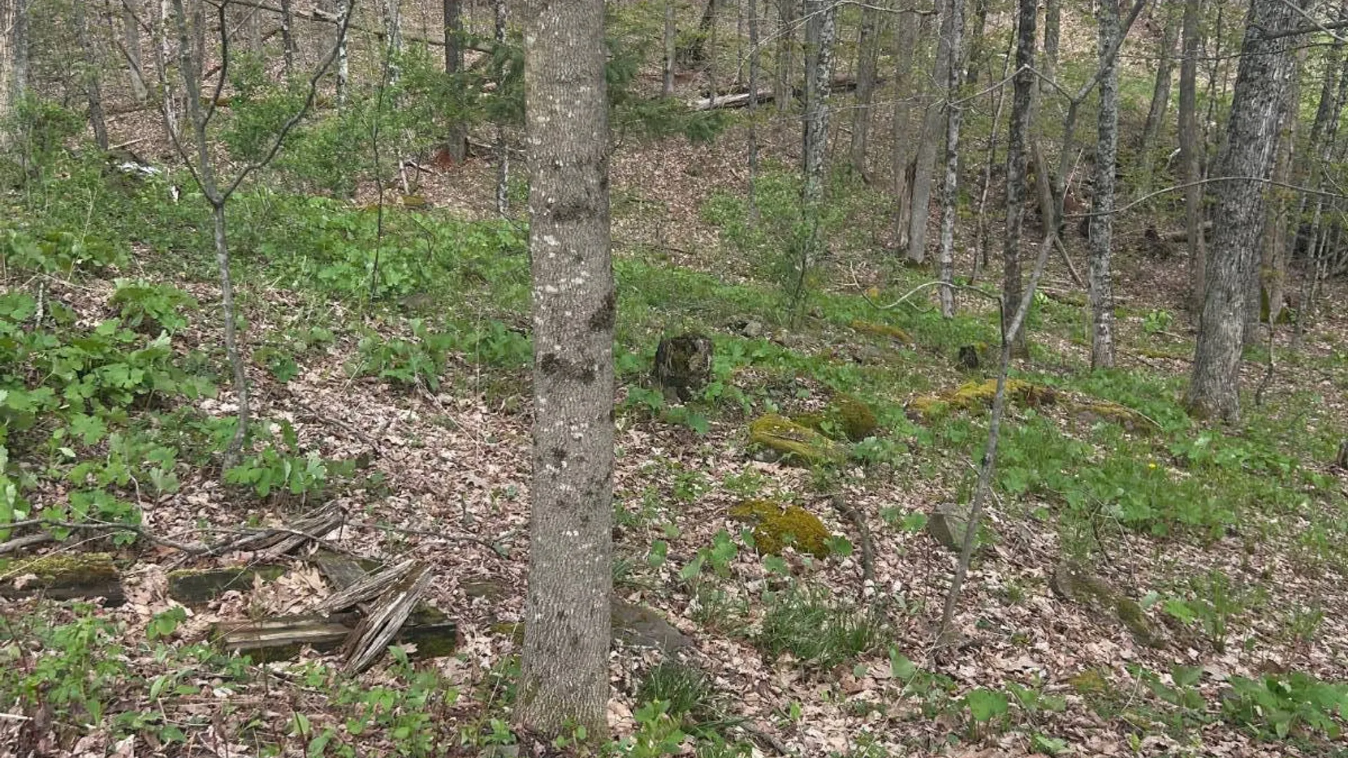 Property at 222 Starr Rd, Otego, NY 13825 23