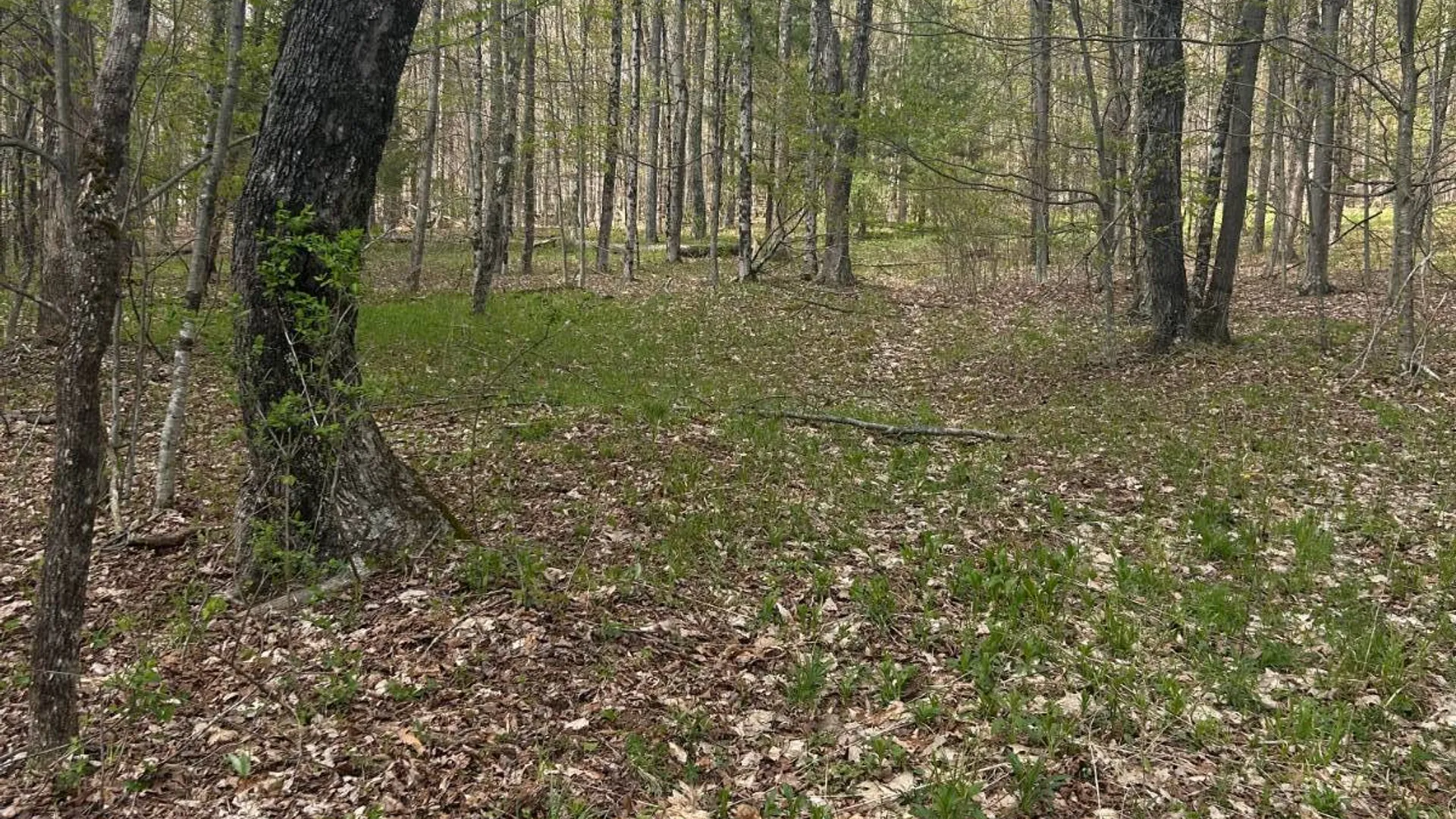 Property at 222 Starr Rd, Otego, NY 13825 24