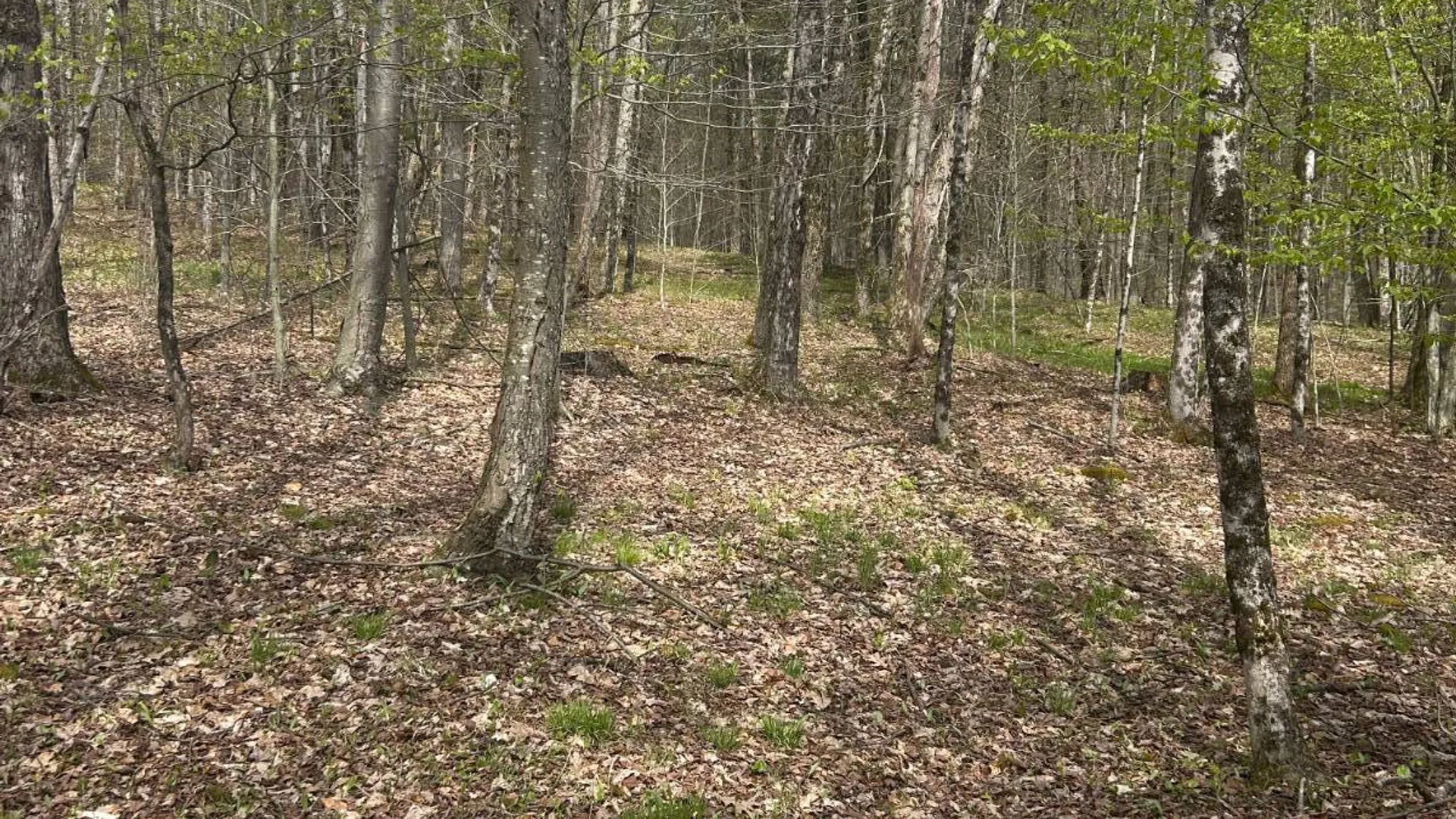 Property at 222 Starr Rd, Otego, NY 13825 25