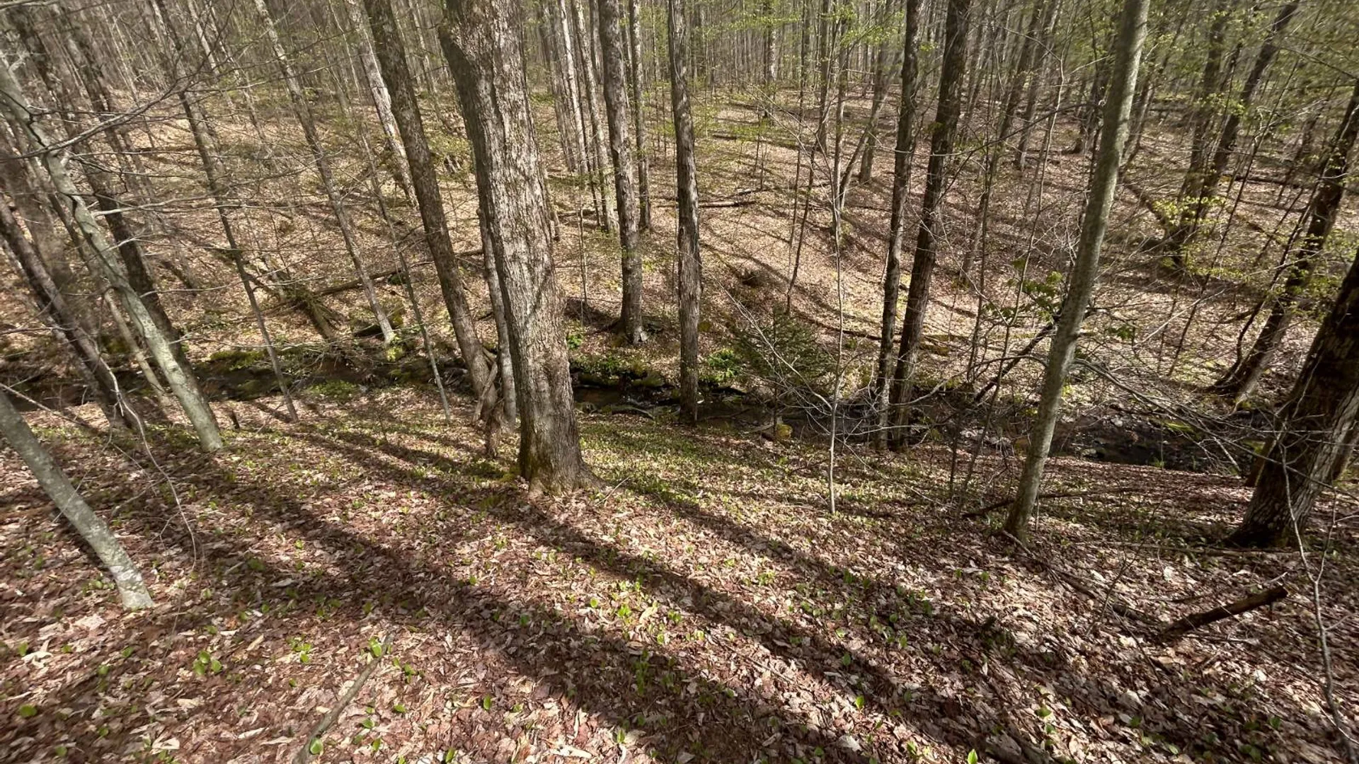 Property at 222 Starr Rd, Otego, NY 13825 27