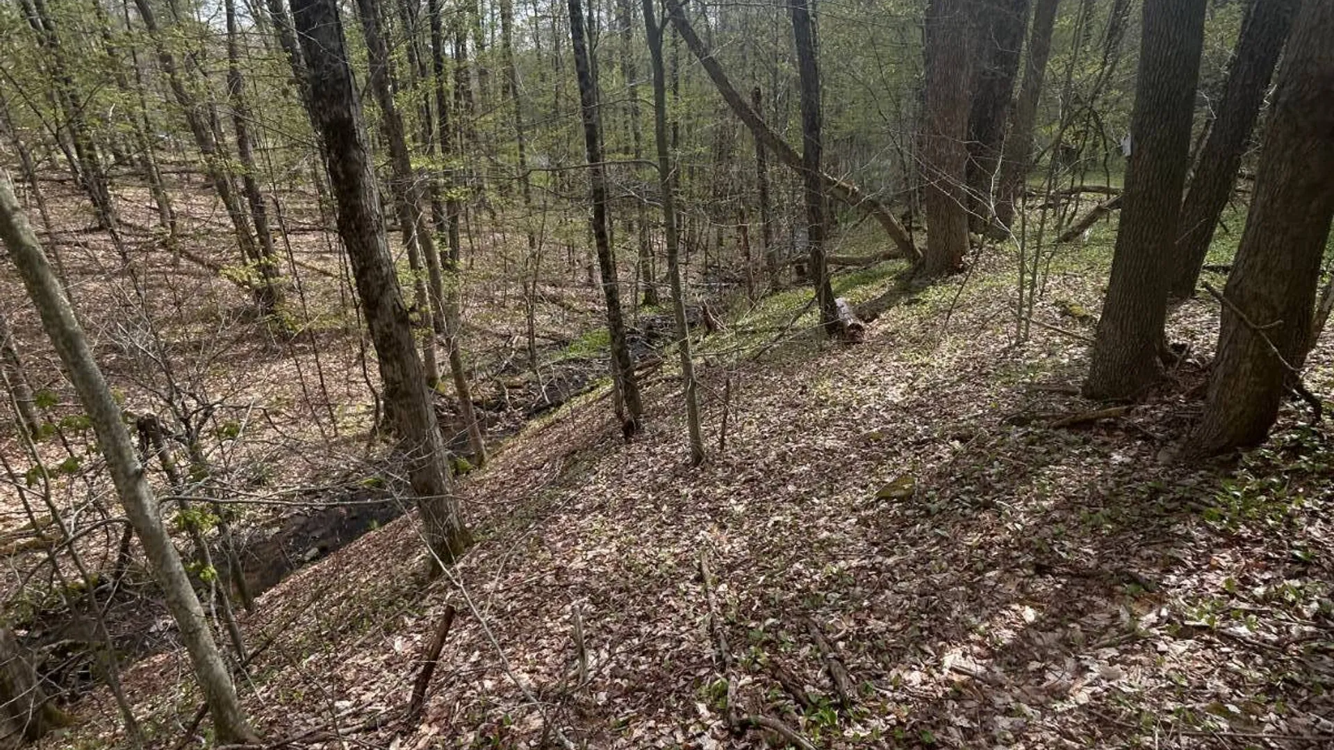 Property at 222 Starr Rd, Otego, NY 13825 28
