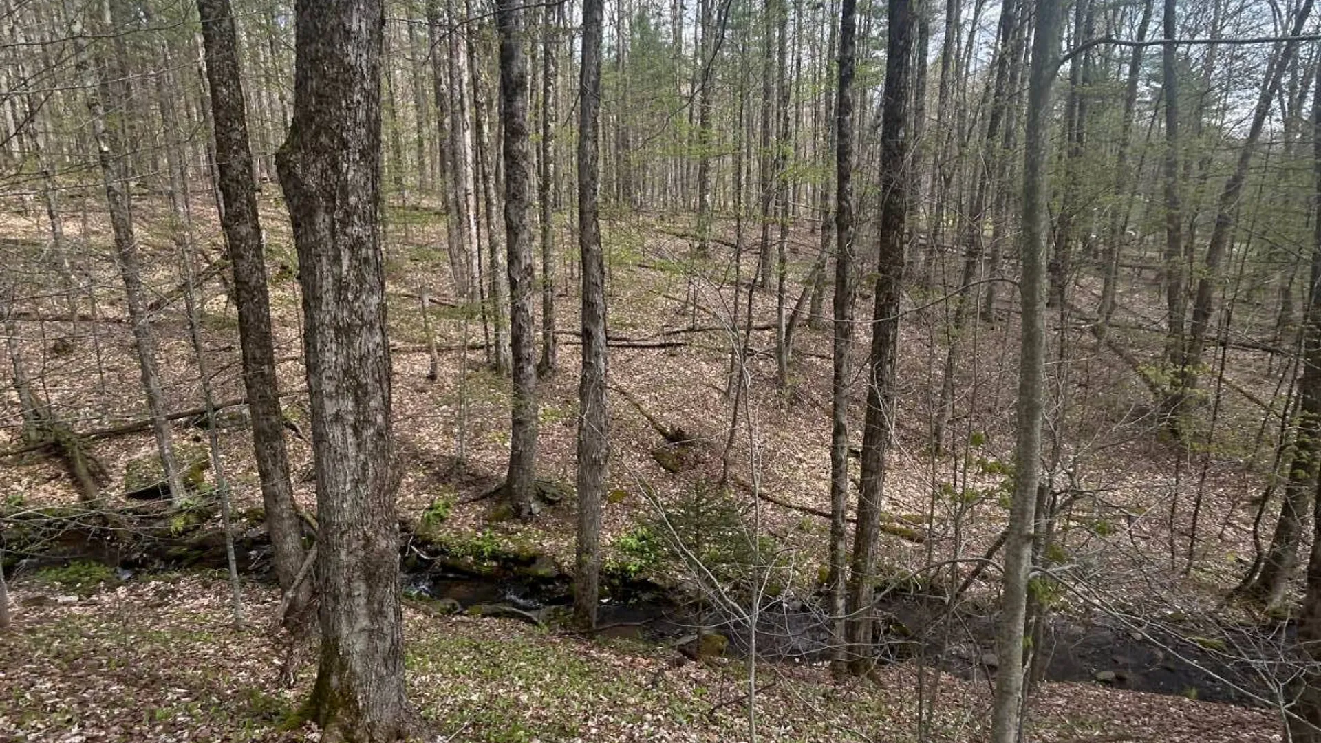 Property at 222 Starr Rd, Otego, NY 13825 29
