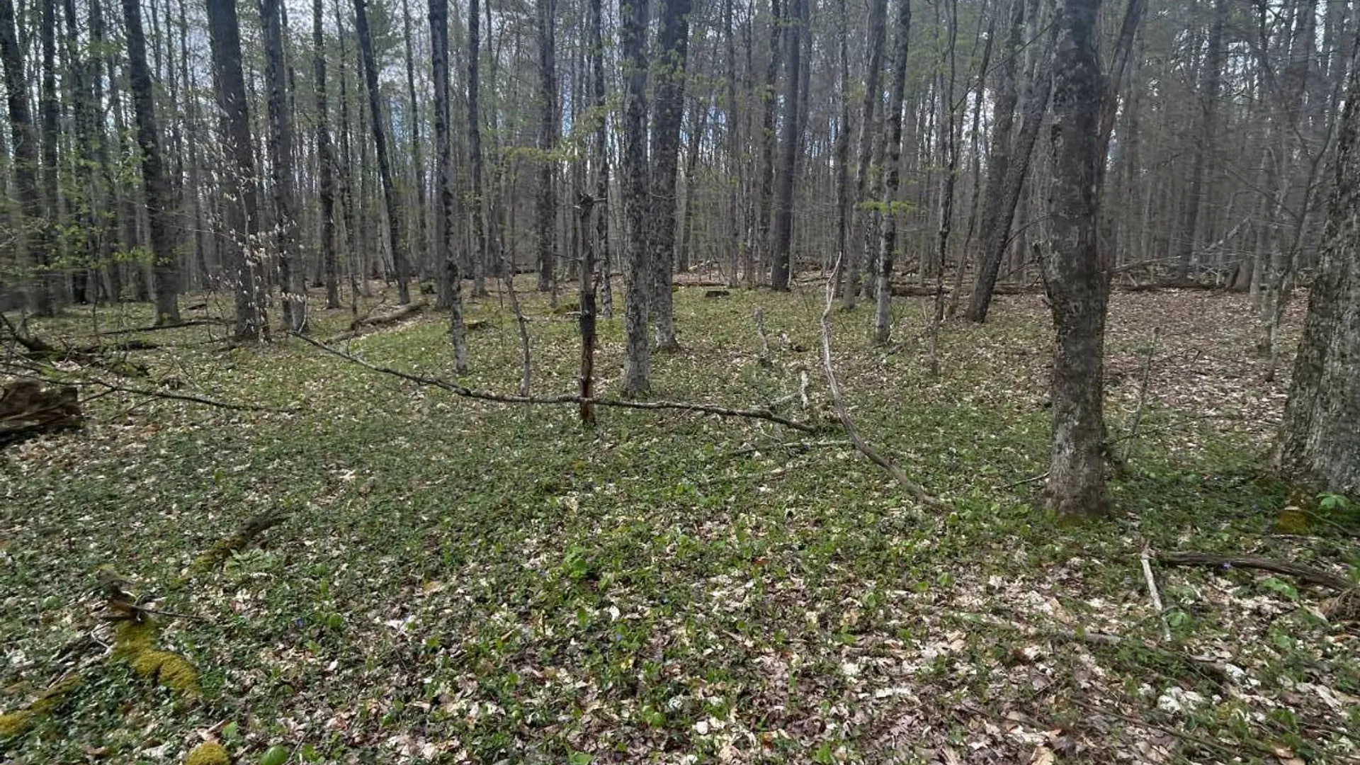 Property at 222 Starr Rd, Otego, NY 13825 30