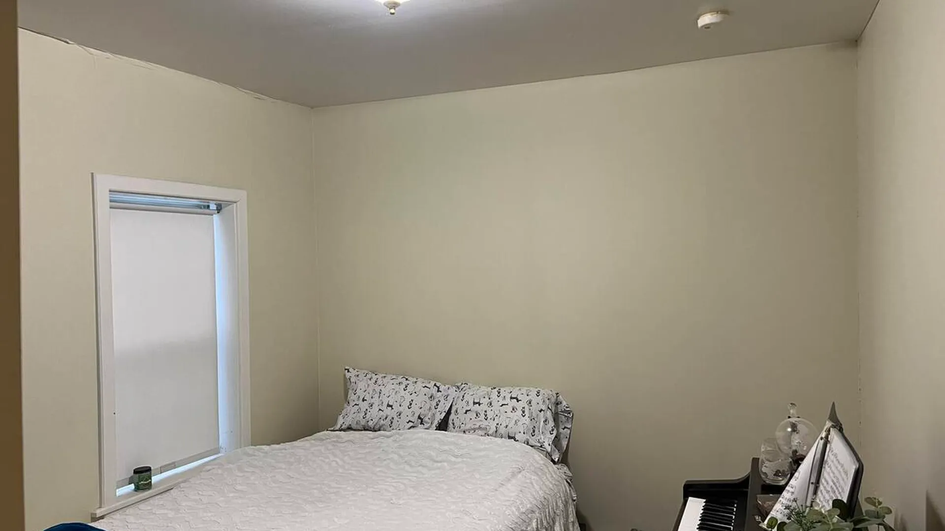Property at 36 112th Street, Troy, NY 12182 19