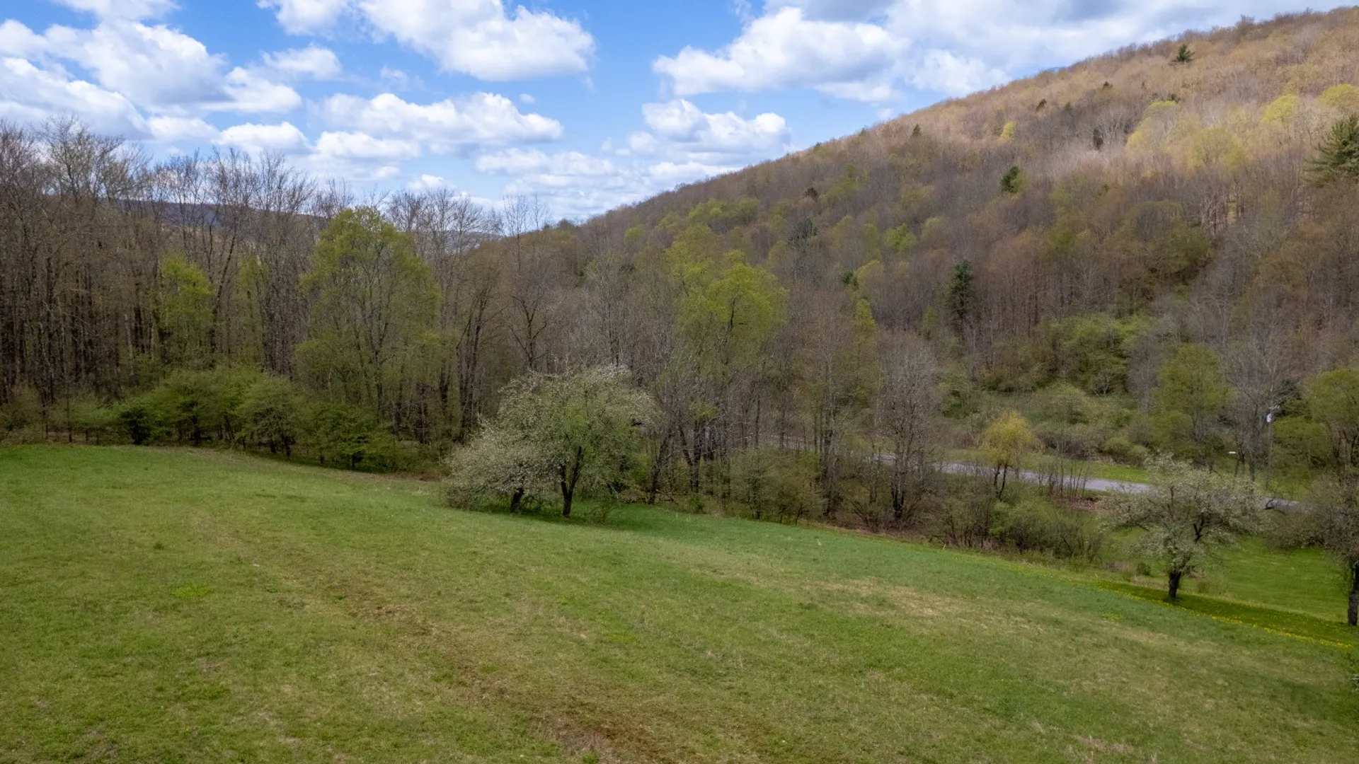 Property at 1798 Marvin Hollow Rd, Walton, NY 13856 14