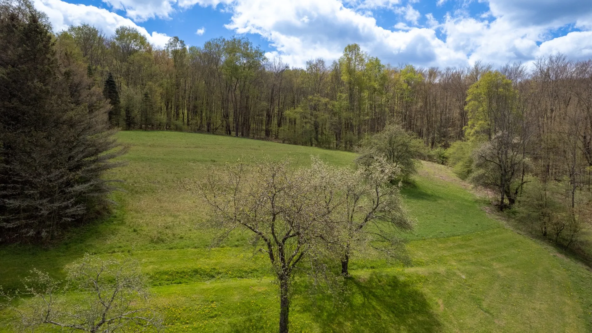Property at 1798 Marvin Hollow Rd, Walton, NY 13856 13