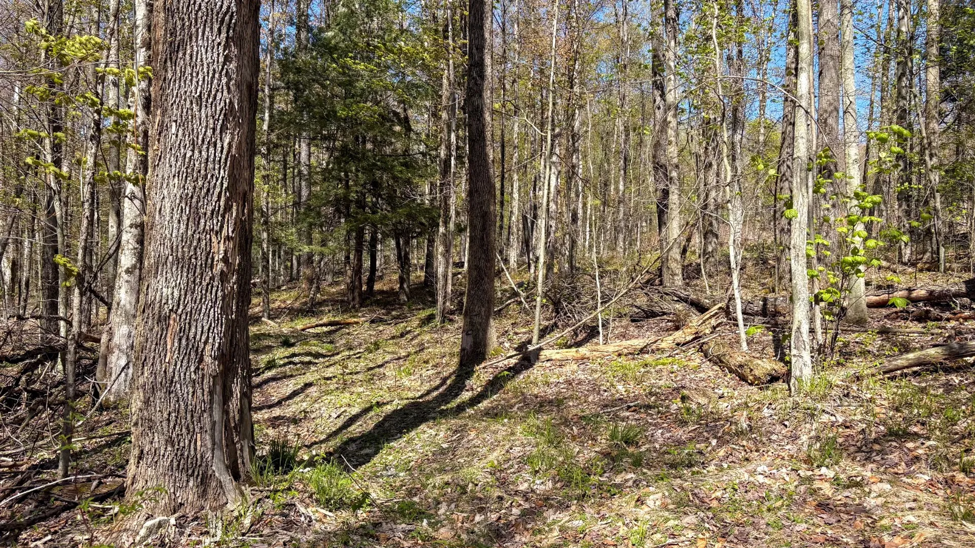 Property at 0 Hathaway Pond Rd, Hancock, NY 13783 16