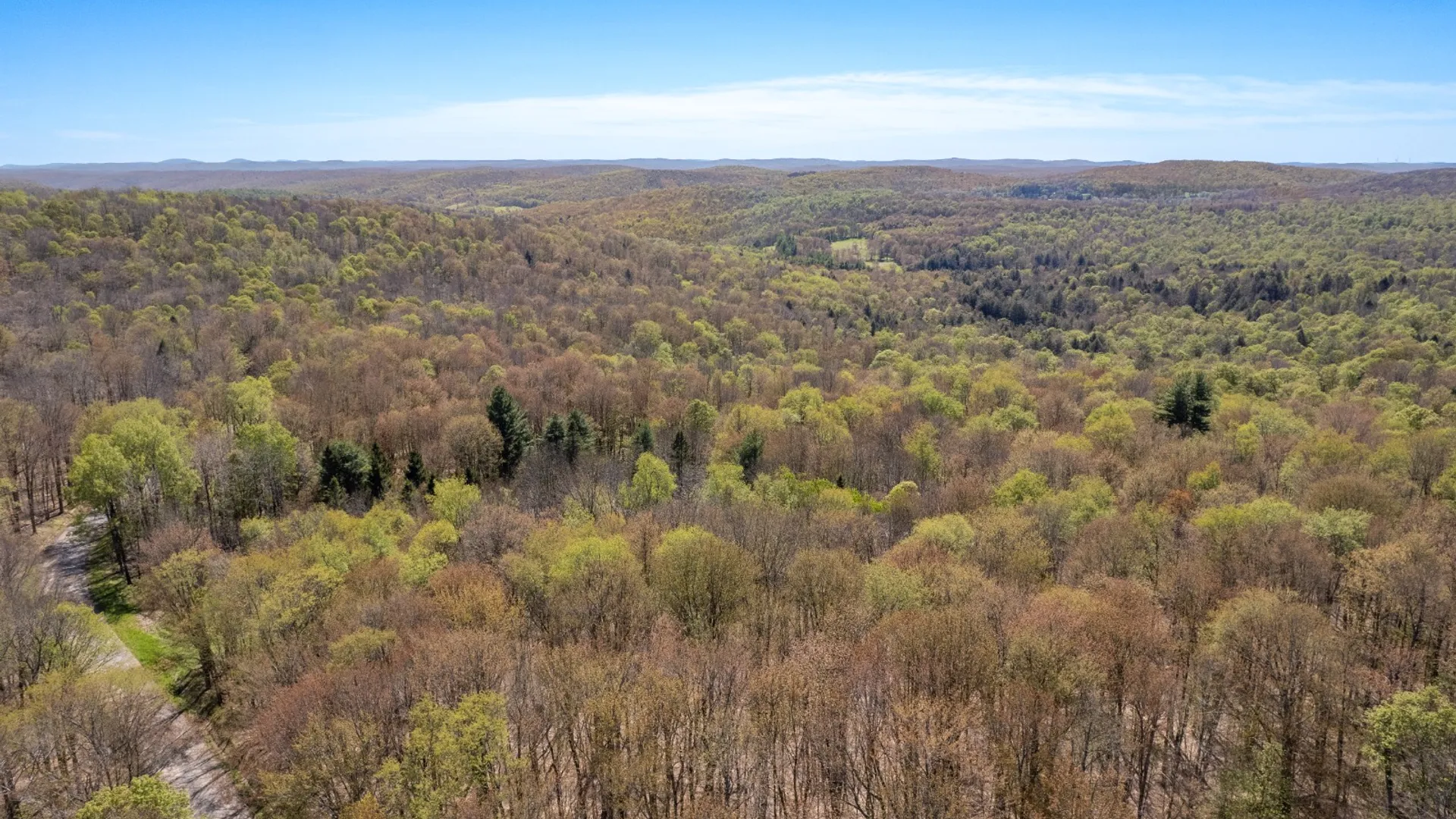 Property at 0 Hathaway Pond Rd, Hancock, NY 13783 3