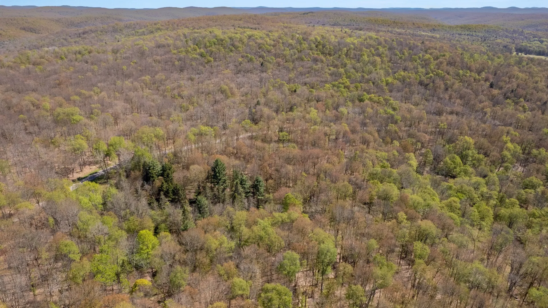 Property at 0 Hathaway Pond Rd, Hancock, NY 13783 6