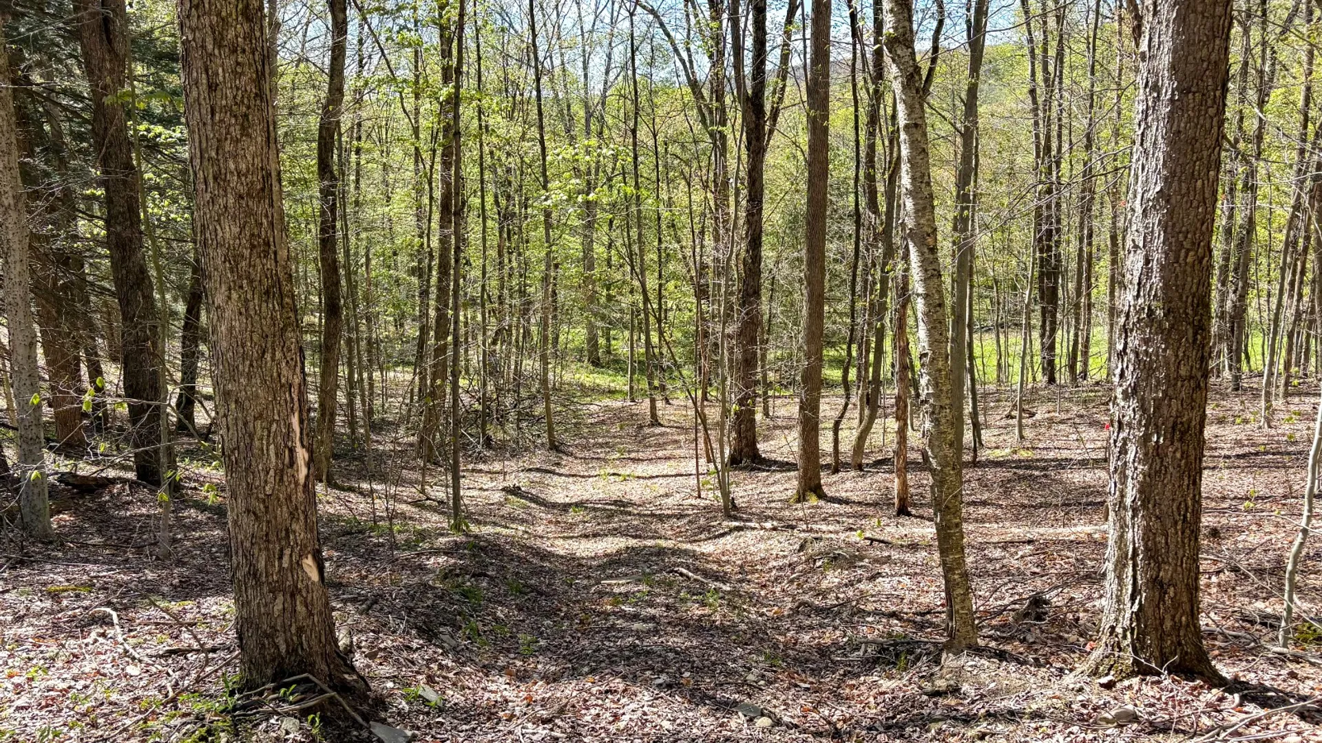 Property at 0 Hathaway Pond Rd, Hancock, NY 13783 13