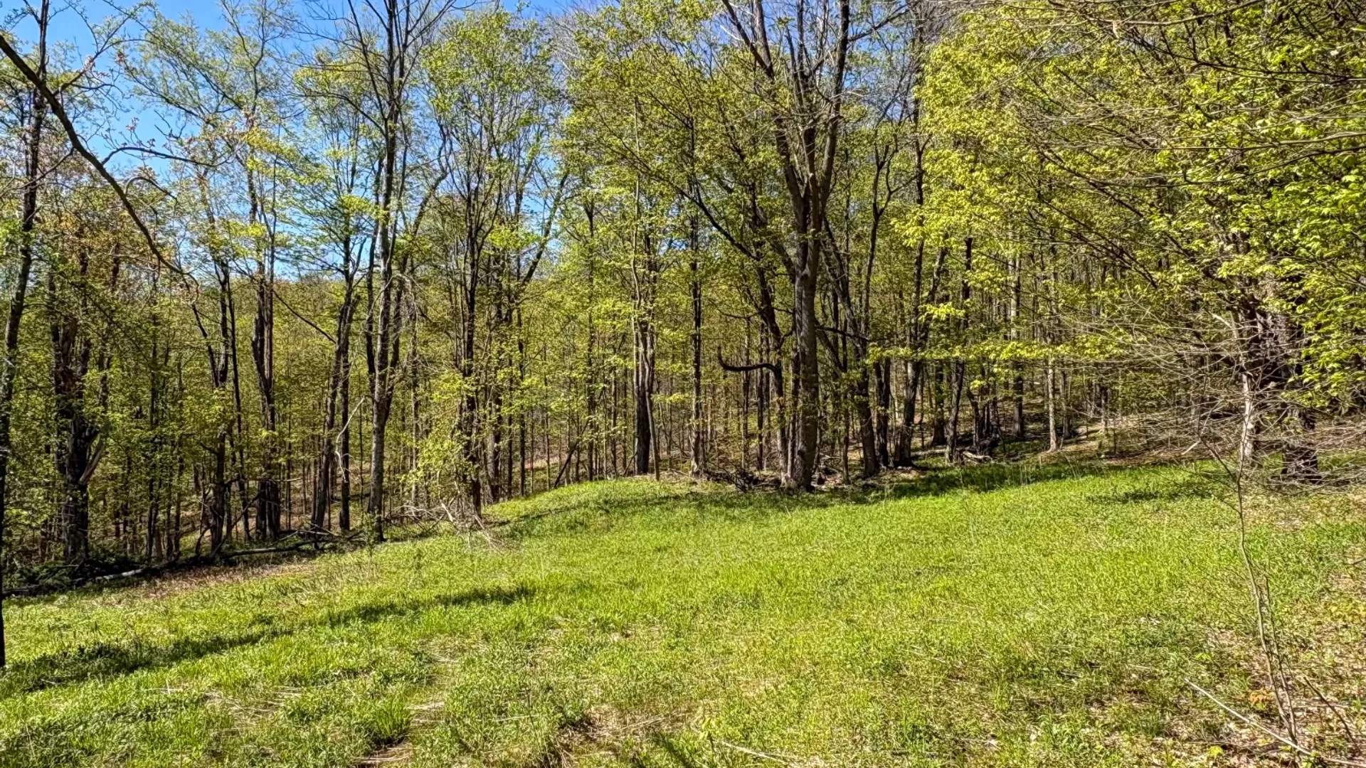 Property at 0 Hathaway Pond Rd, Hancock, NY 13783 23
