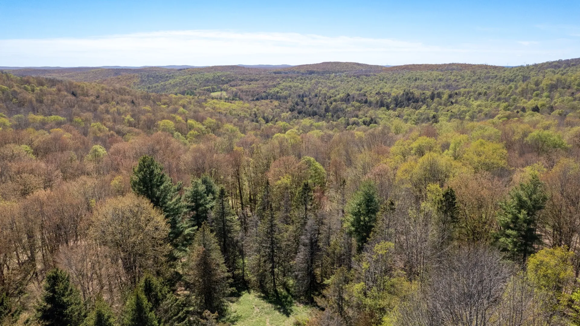 Property at 0 Hathaway Pond Rd, Hancock, NY 13783 5