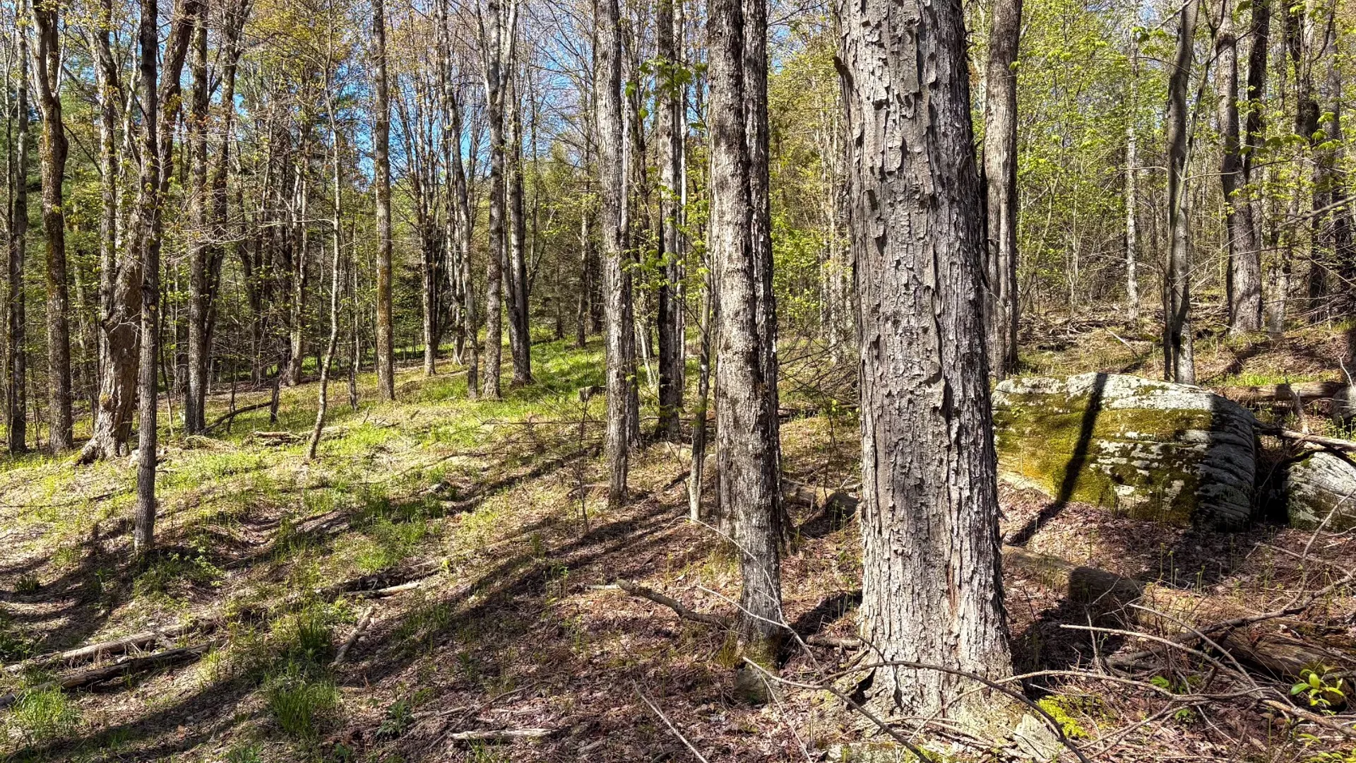 Property at 0 Hathaway Pond Rd, Hancock, NY 13783 17