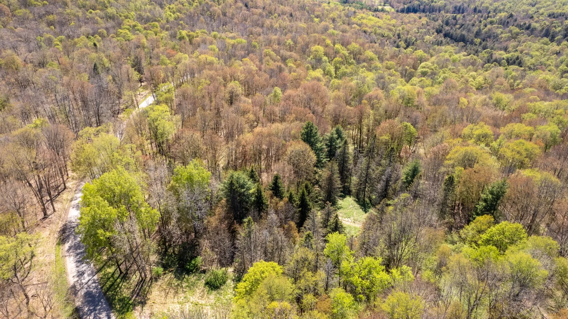Property at 0 Hathaway Pond Rd, Hancock, NY 13783 4