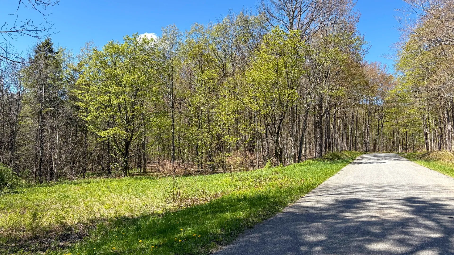 Property at 0 Hathaway Pond Rd, Hancock, NY 13783 8