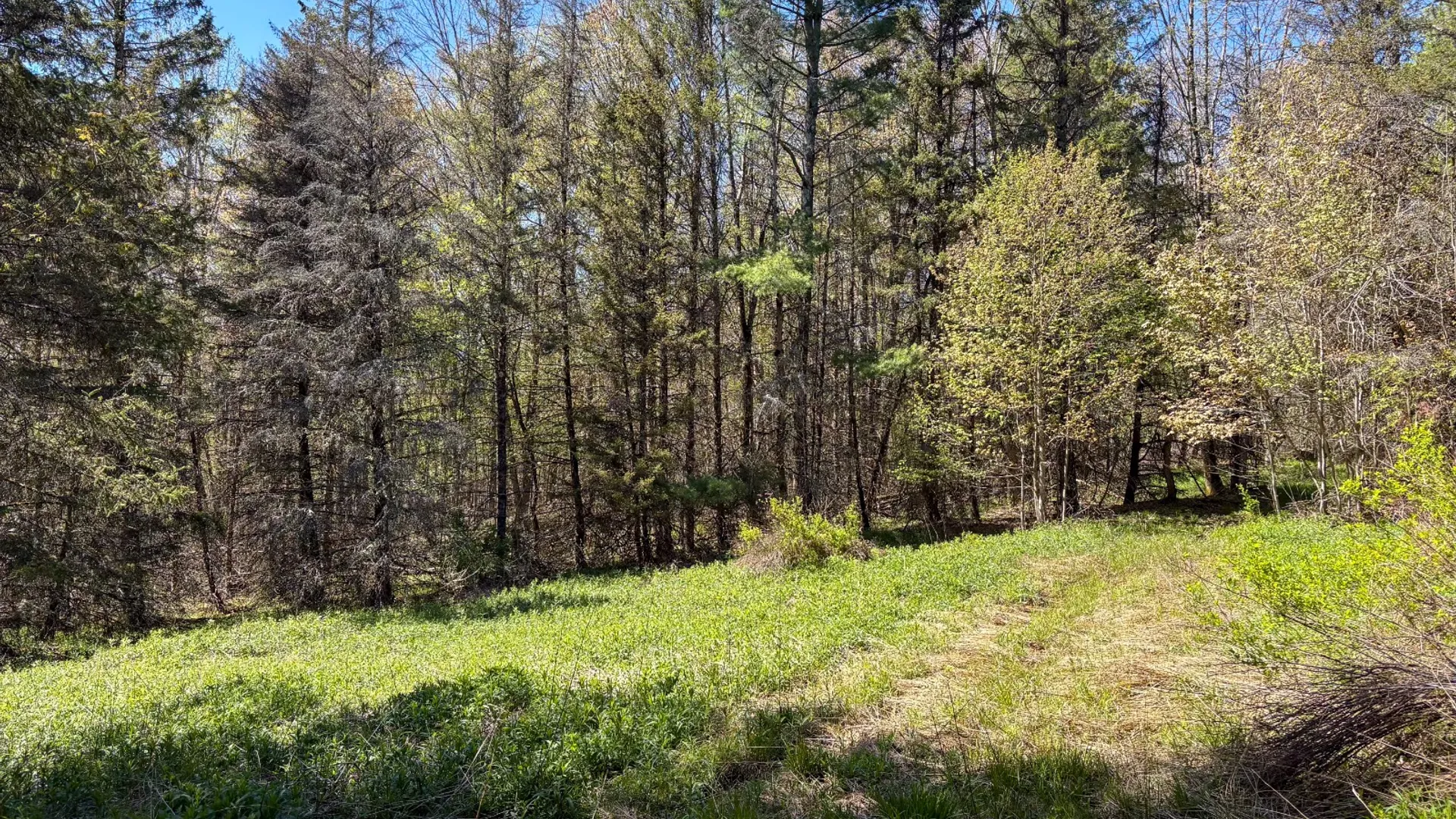 Property at 0 Hathaway Pond Rd, Hancock, NY 13783 9