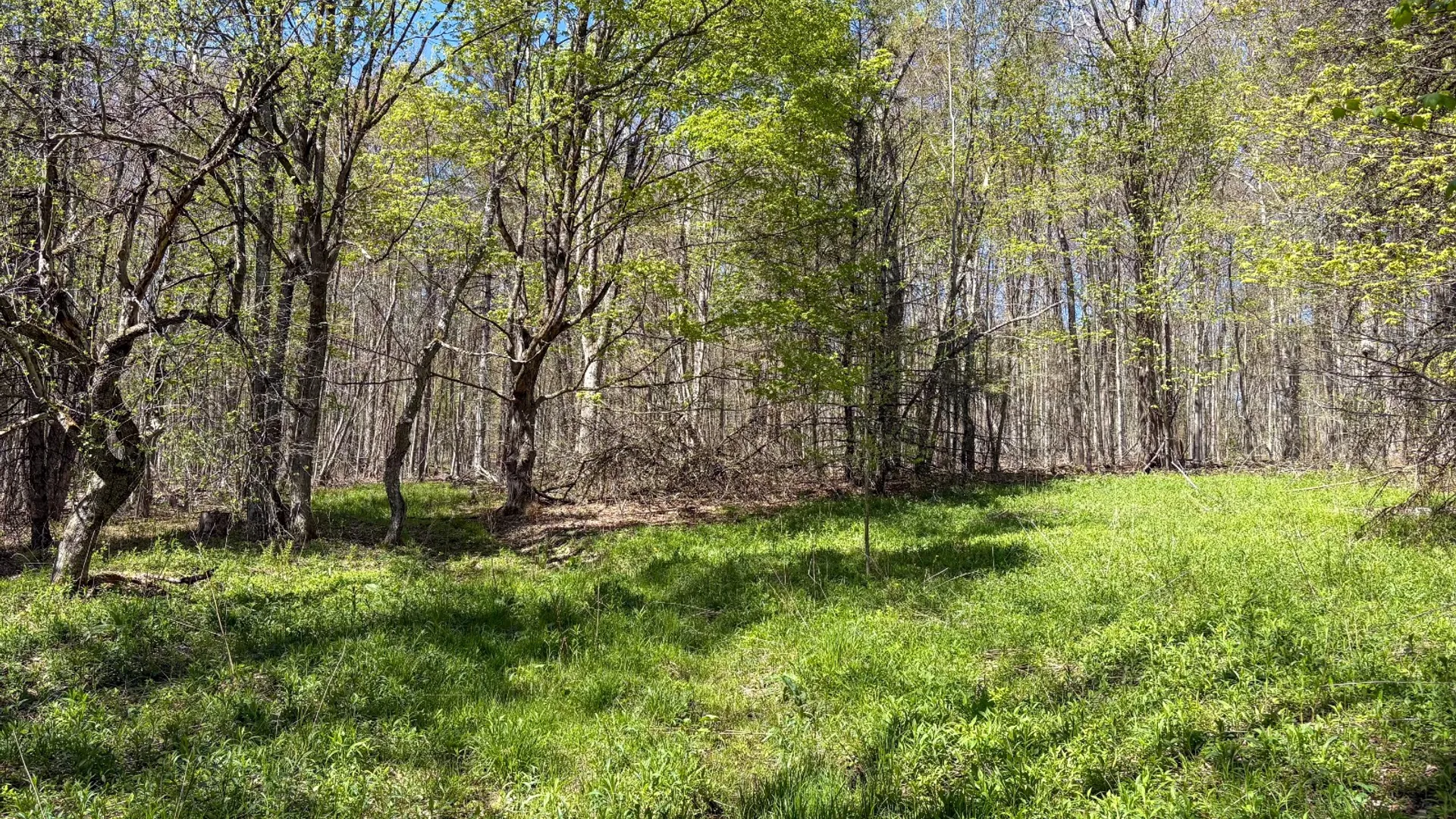 Property at 0 Hathaway Pond Rd, Hancock, NY 13783 10