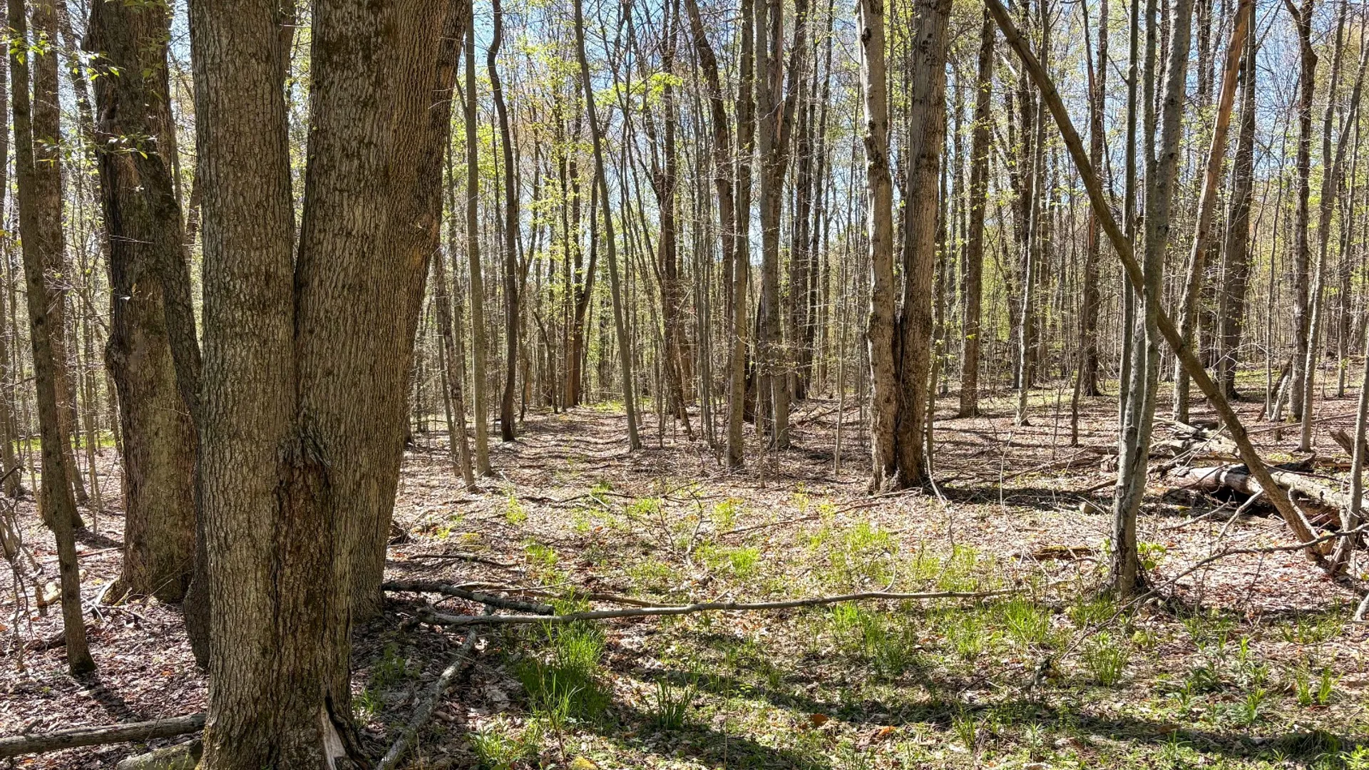 Property at 0 Hathaway Pond Rd, Hancock, NY 13783 19