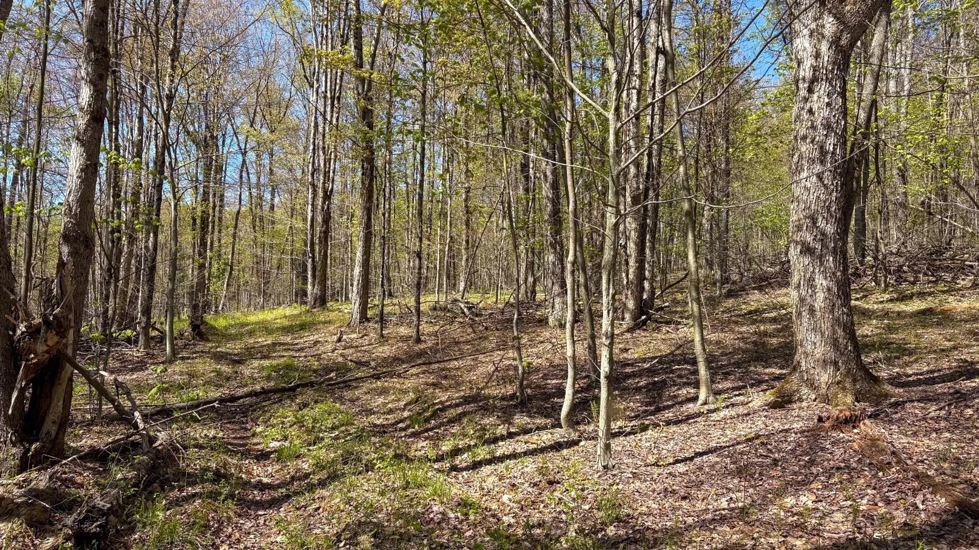 Property at 0 Hathaway Pond Rd, Hancock, NY 13783 20