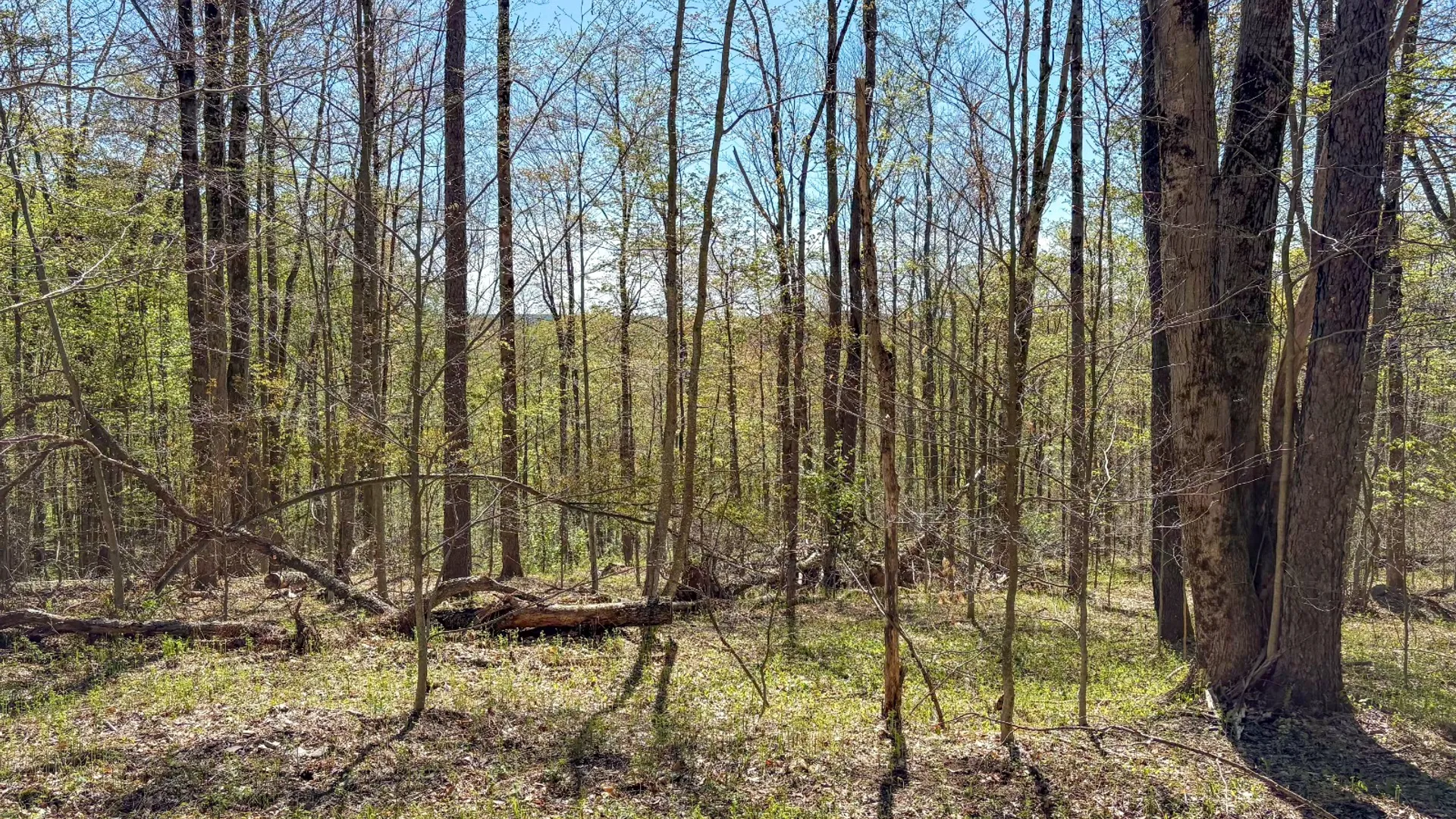 Property at 0 Hathaway Pond Rd, Hancock, NY 13783 14