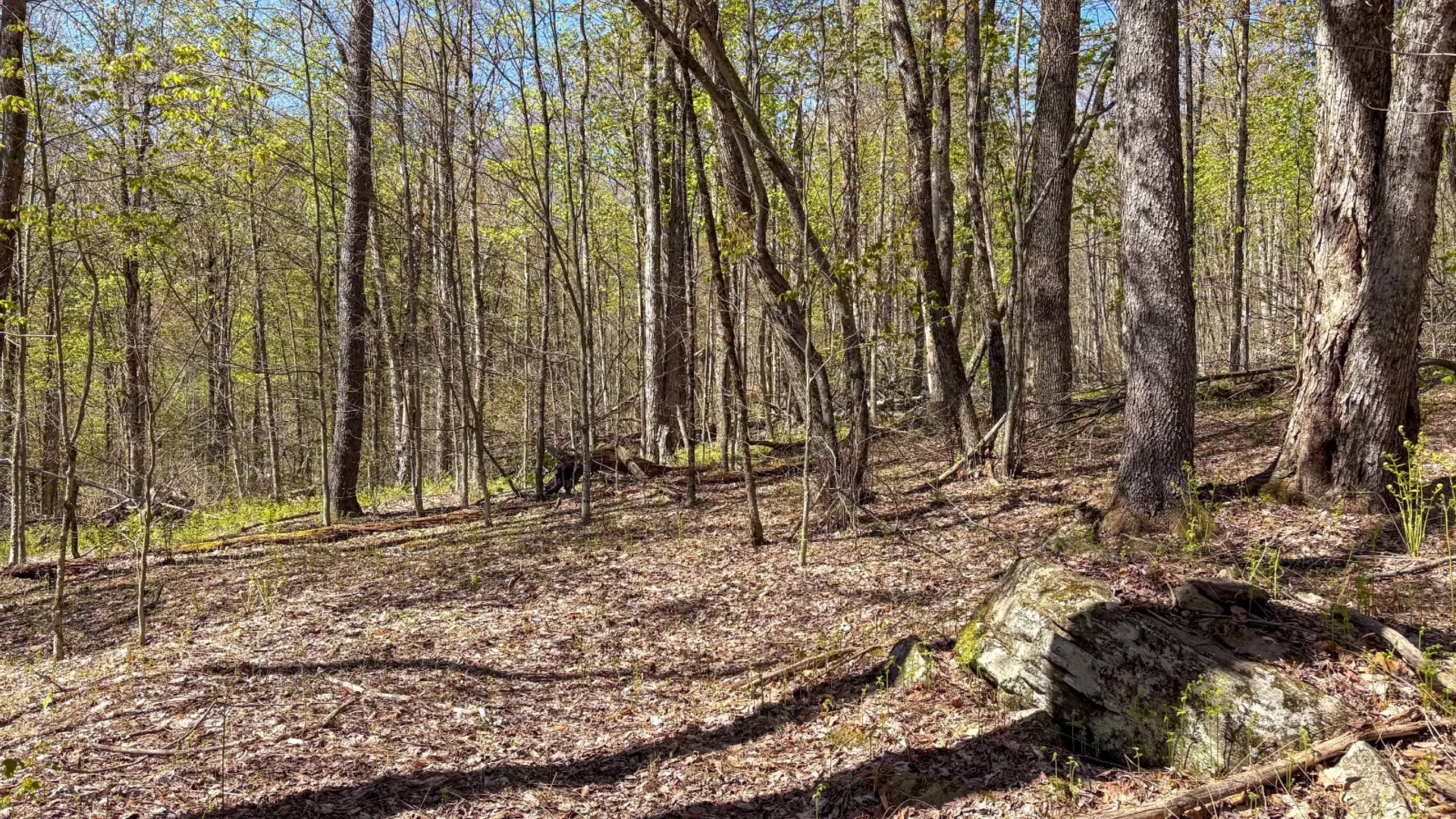 Property at 0 Hathaway Pond Rd, Hancock, NY 13783 21