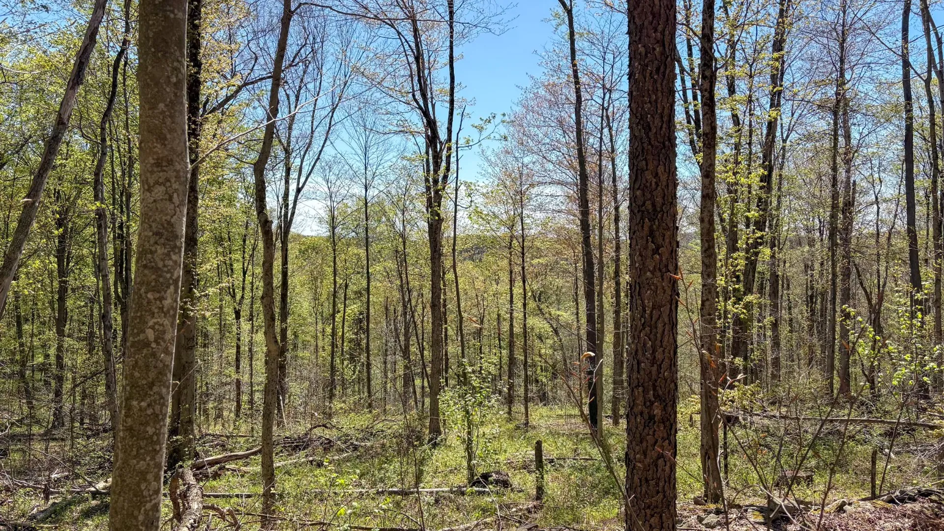 Property at 0 Hathaway Pond Rd, Hancock, NY 13783 15