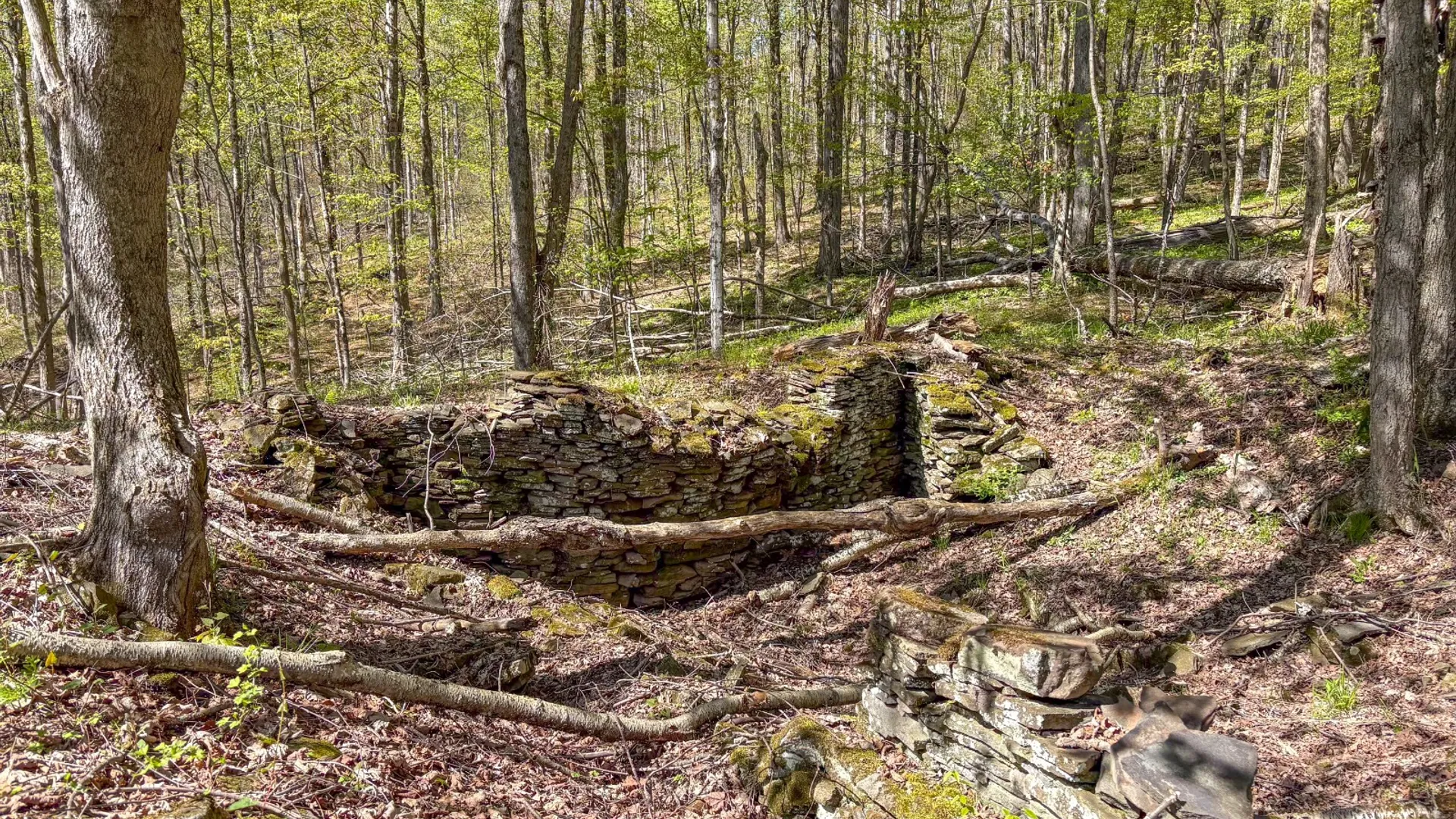 Property at 0 Hathaway Pond Rd, Hancock, NY 13783 25