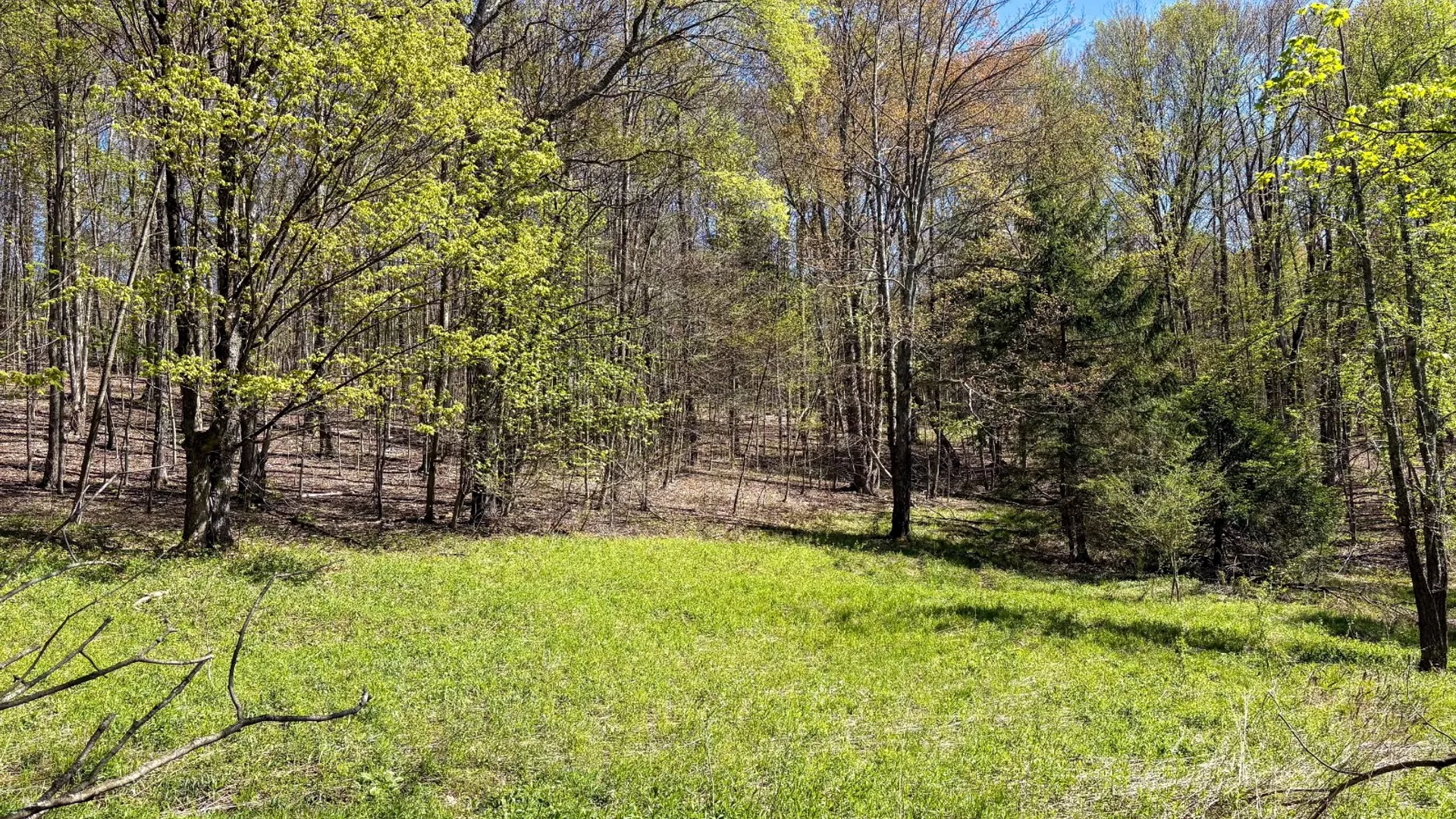 Property at 0 Hathaway Pond Rd, Hancock, NY 13783 24