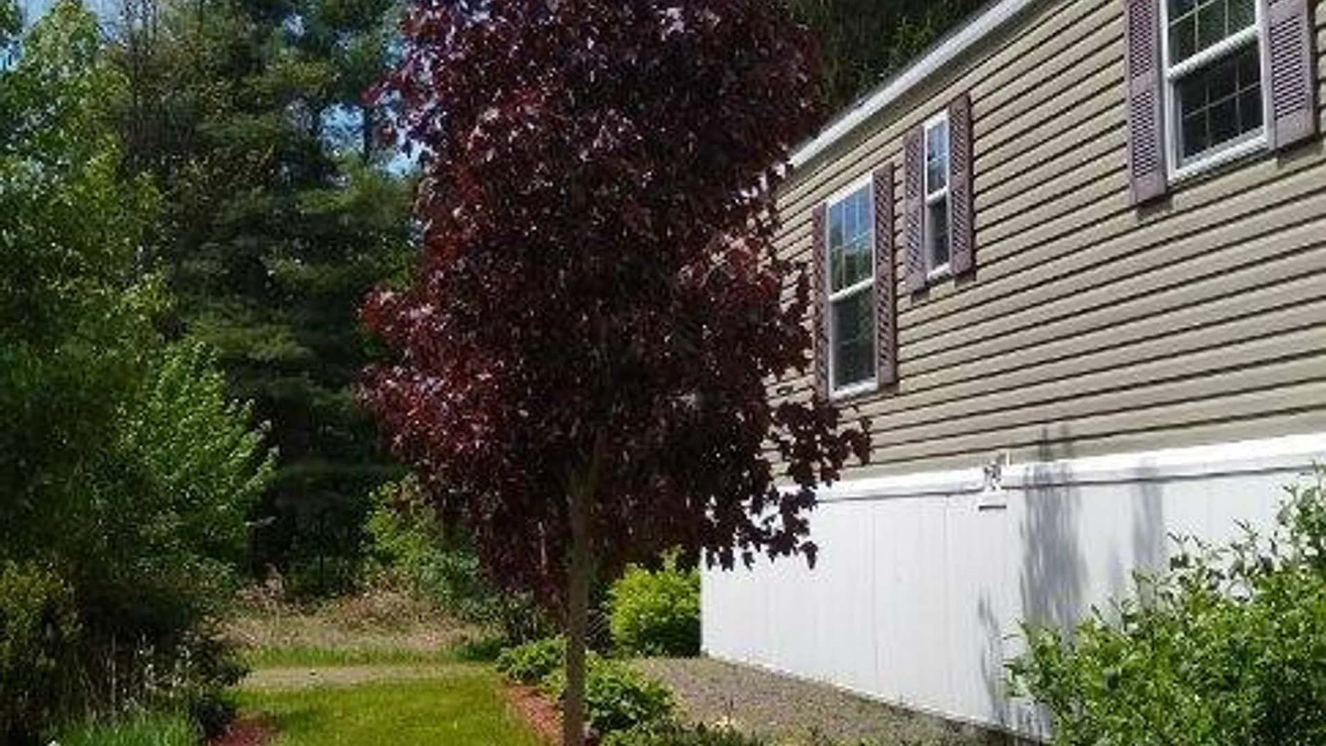 Property at 13003 Rt. 23A, Lexington, NY 12452 6