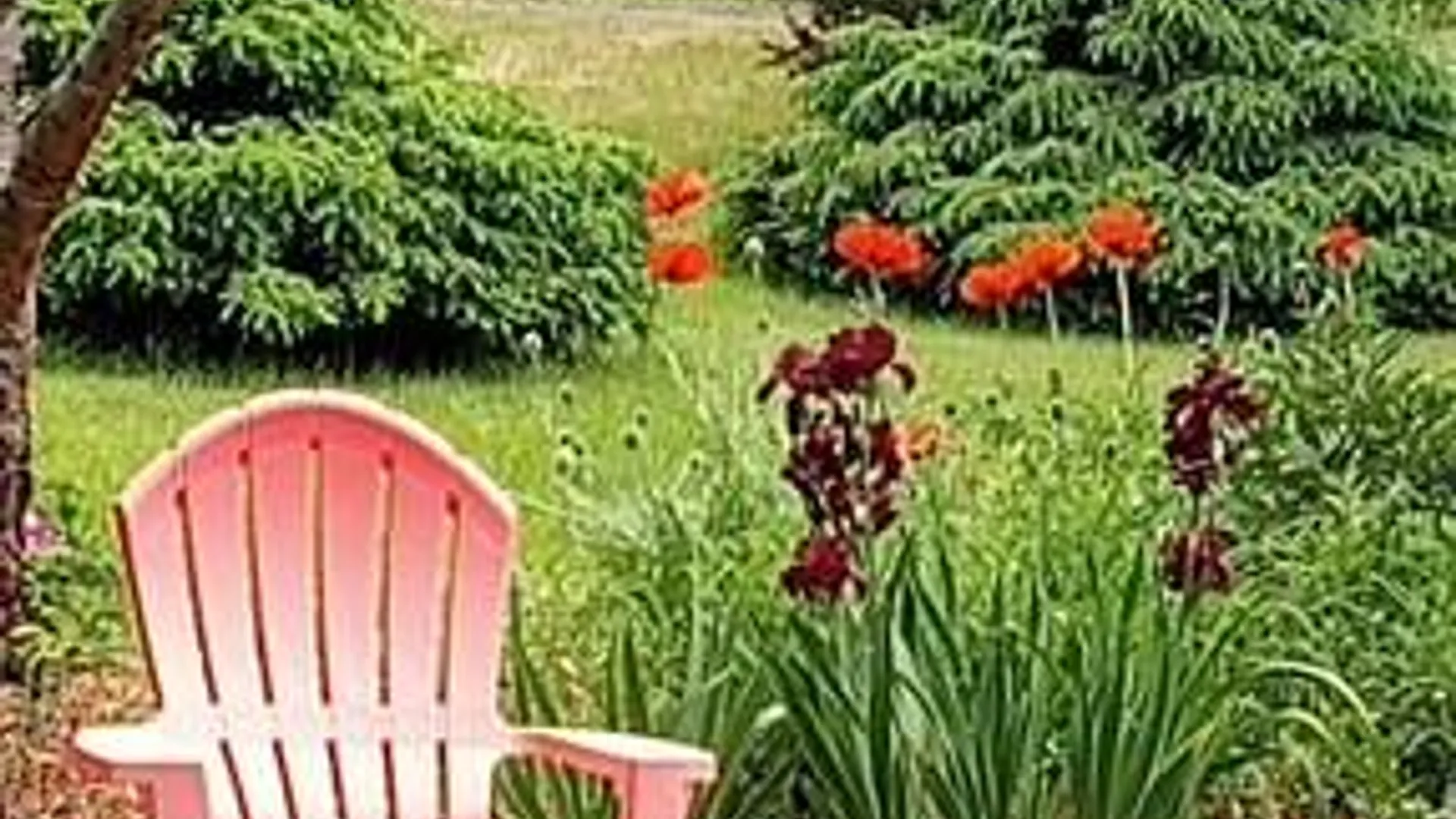 Property at 13003 Rt. 23A, Lexington, NY 12452 7