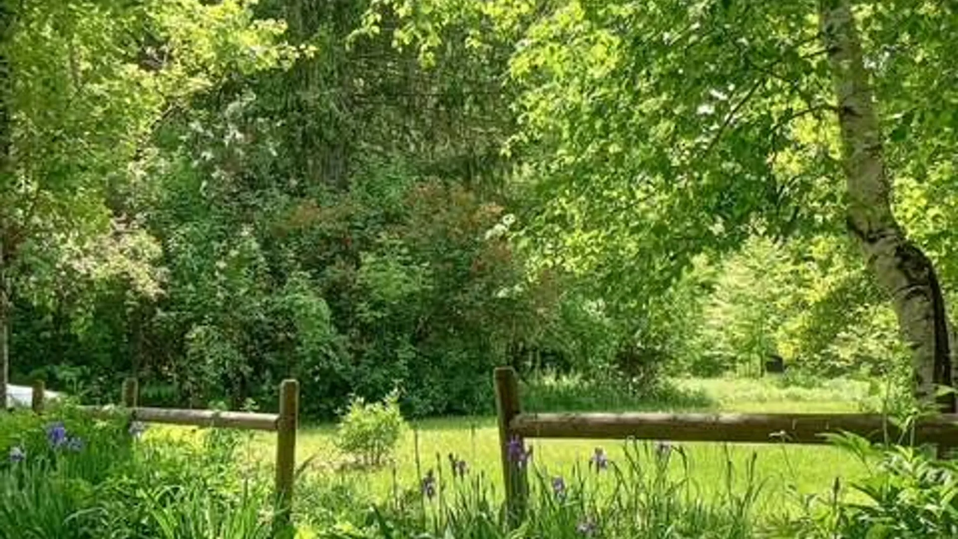 Property at 13003 Rt. 23A, Lexington, NY 12452 45