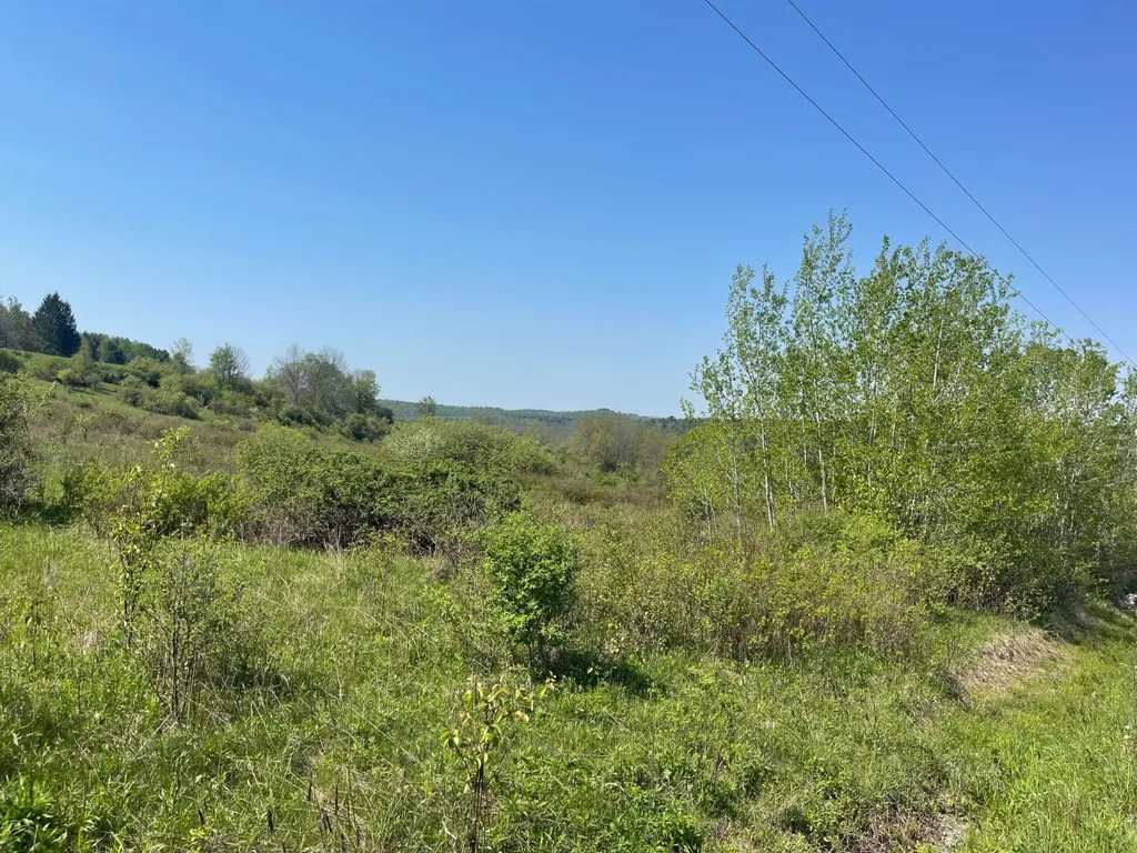 Property at 0 Acorn Ln, Oxford, NY 13733