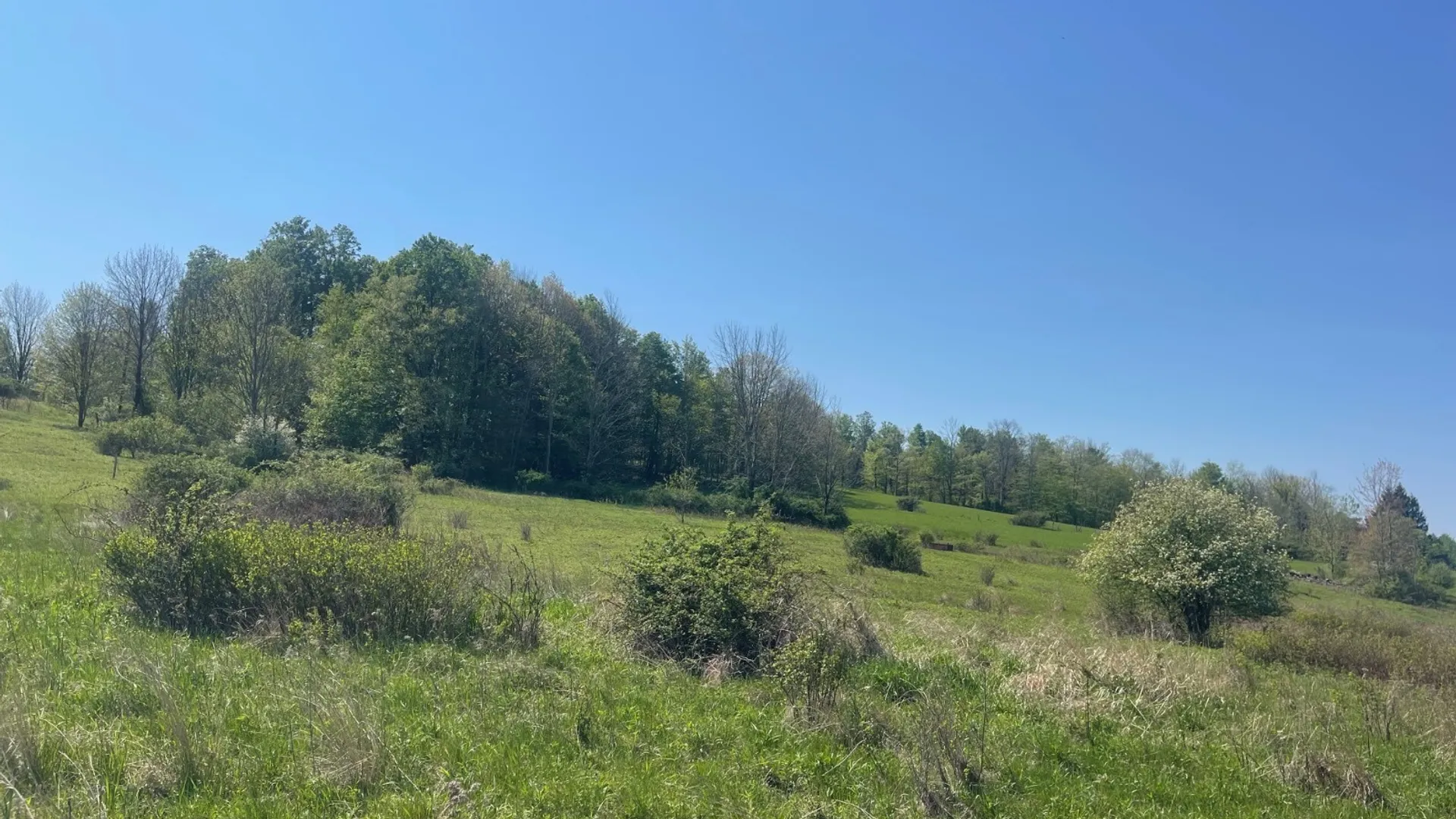 Property at 0 Acorn Ln, Oxford, NY 13733 7
