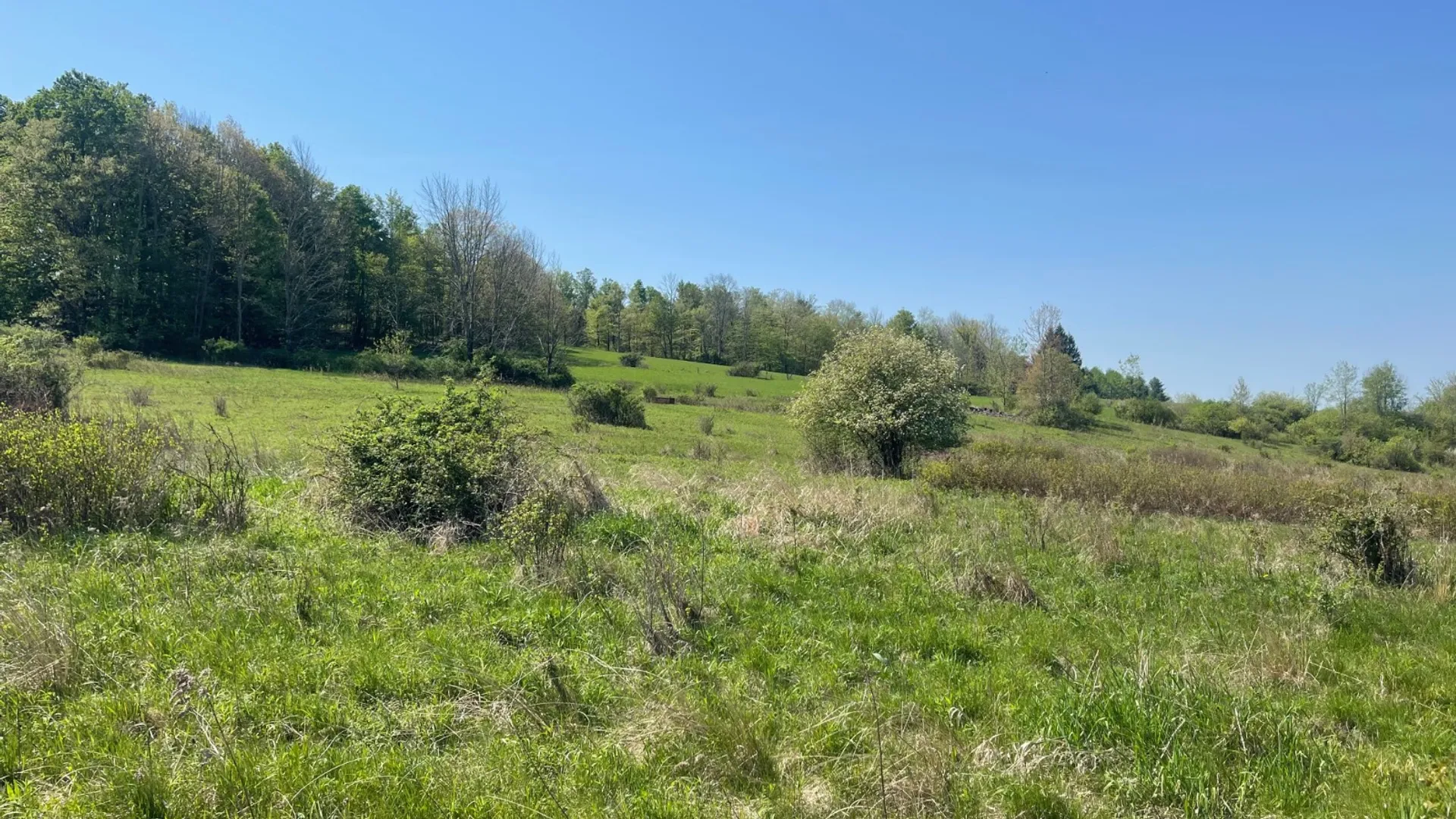 Property at 0 Acorn Ln, Oxford, NY 13733 9